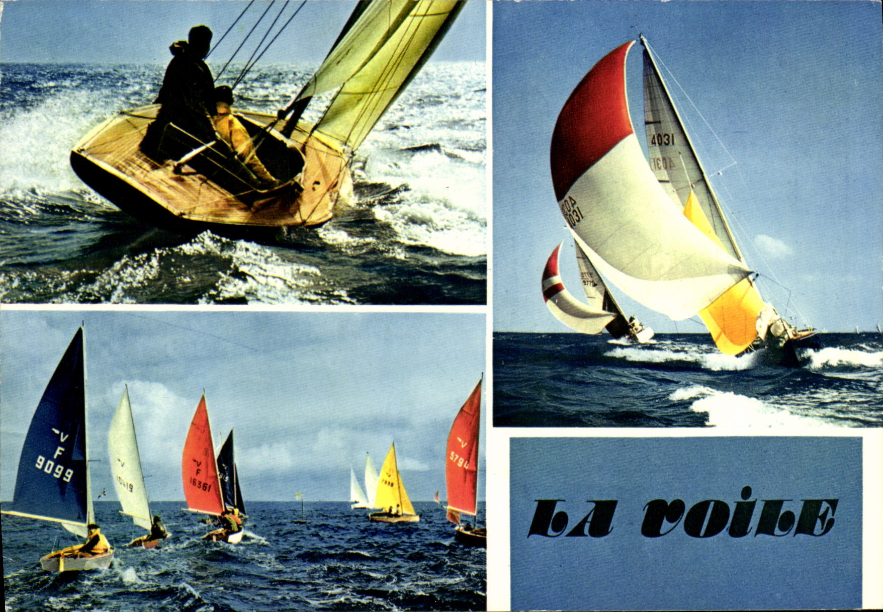 MODERN CARD the Sail