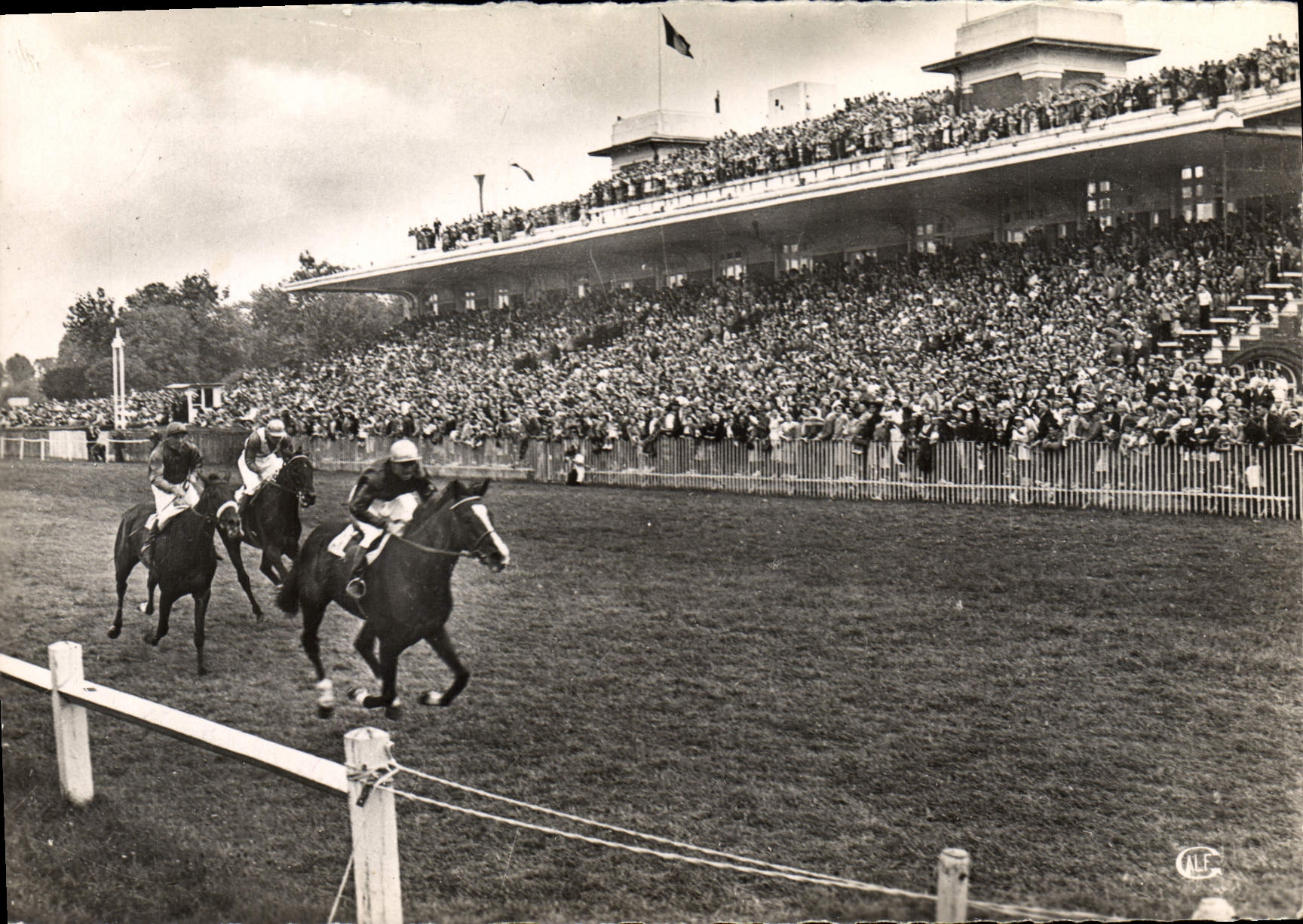CPM Deauville Champ De Course Cheval Hippisme