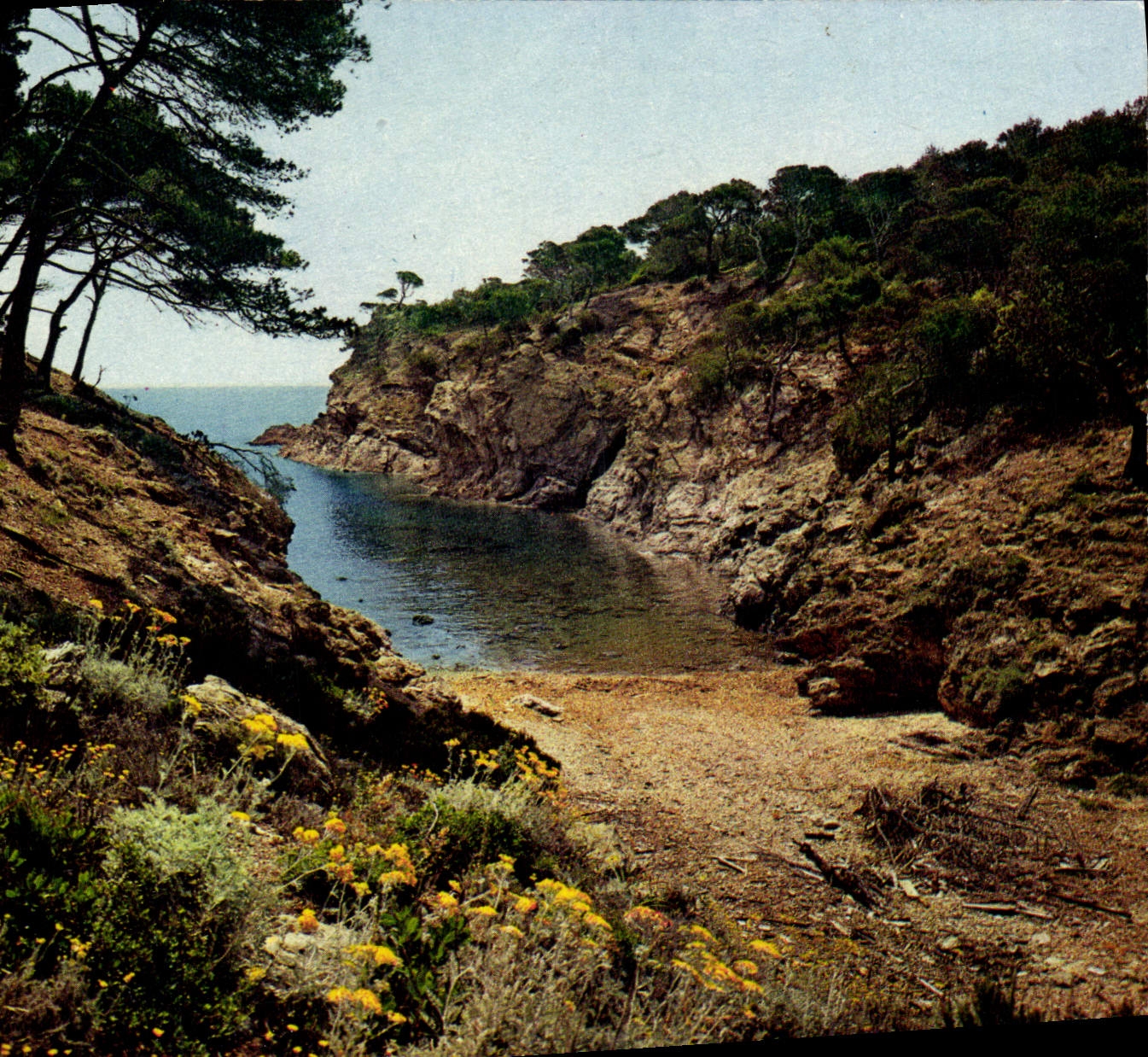 CPM Mediterranee Aux Rivages Sans Nuages Calanque Ou La Vague S'Abrite