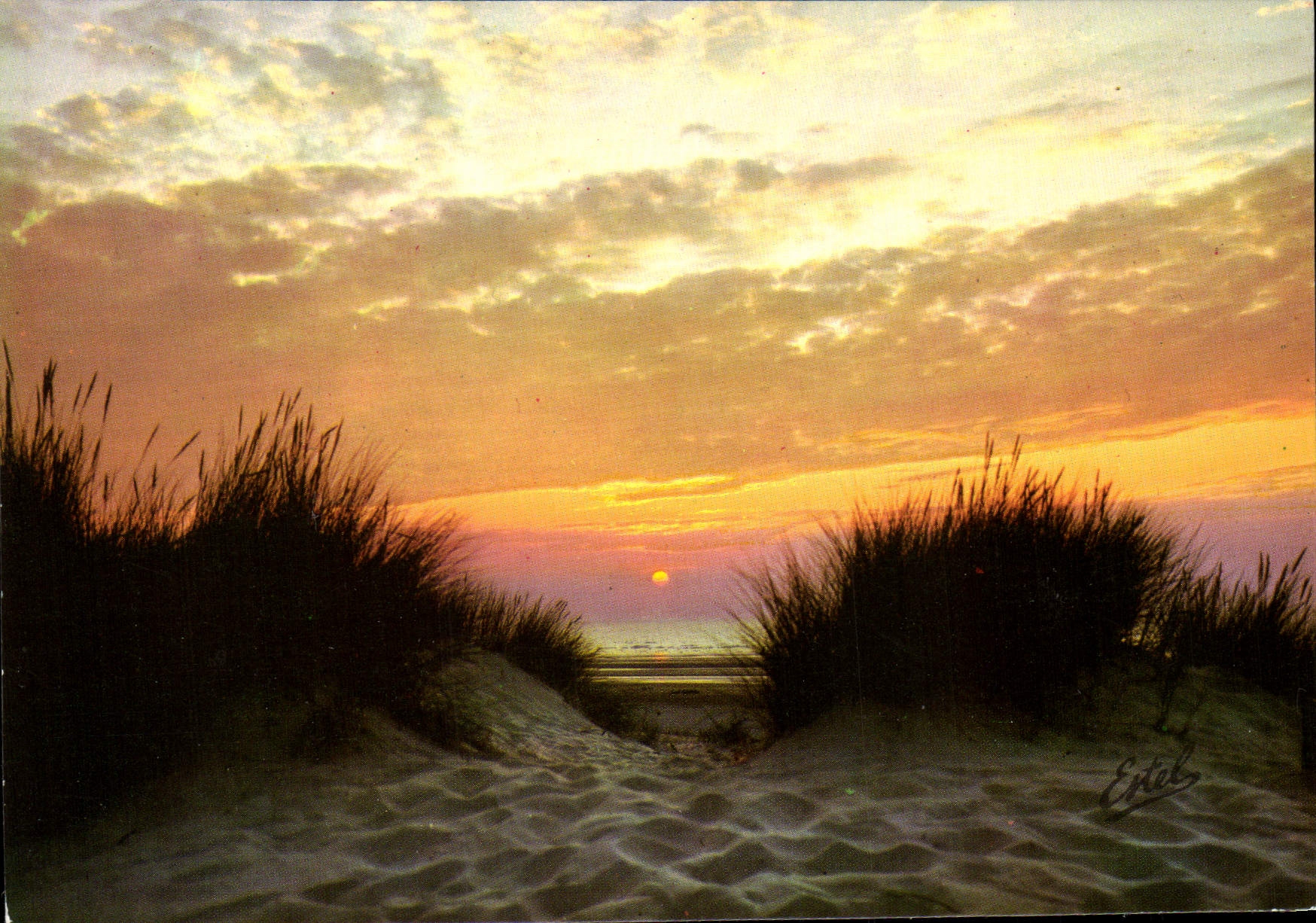CPM Sur Les Cotes De France Coucher De Soleil Sur Les Dunes