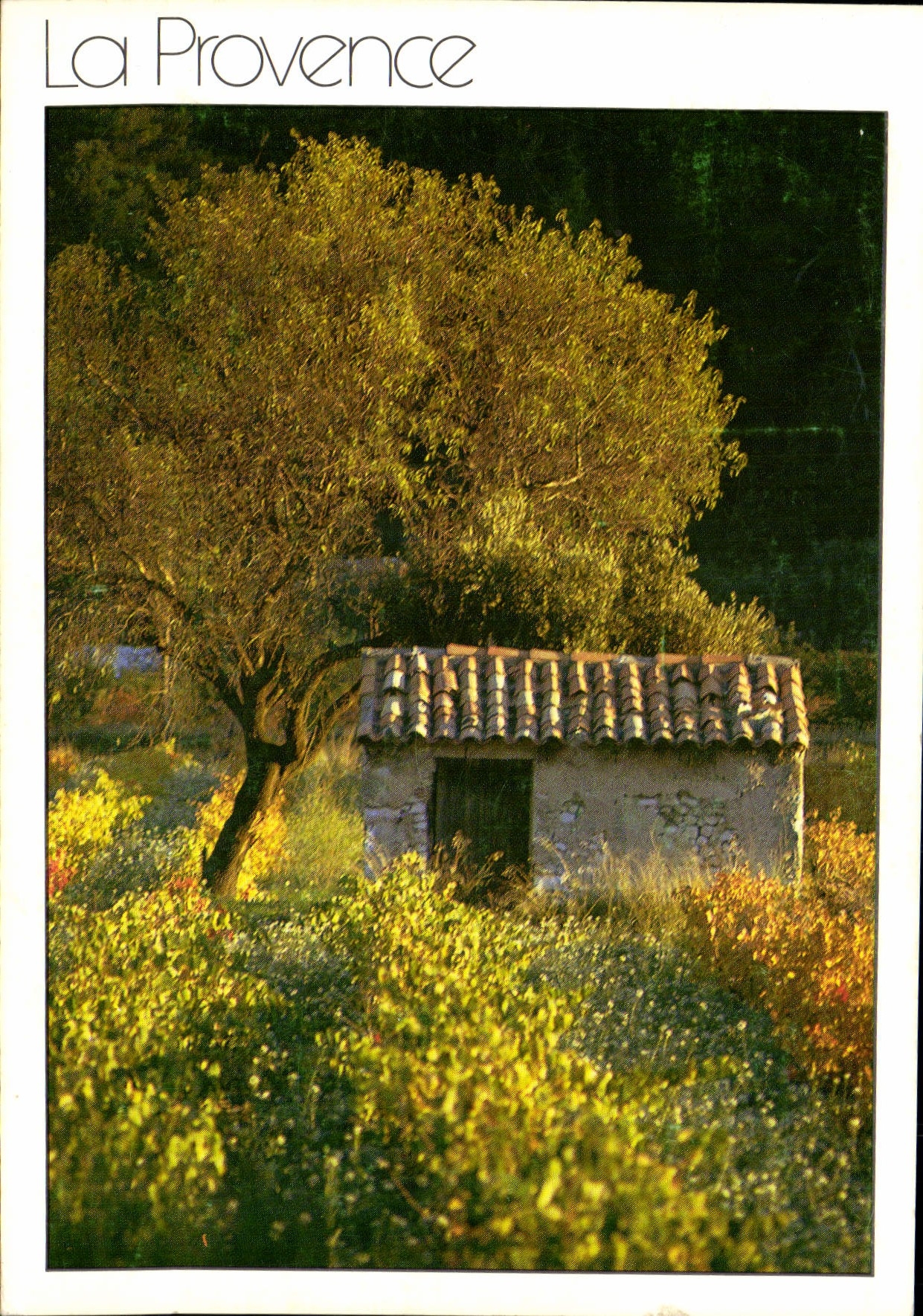 CPM La Provence Ramade Seppim Maison 