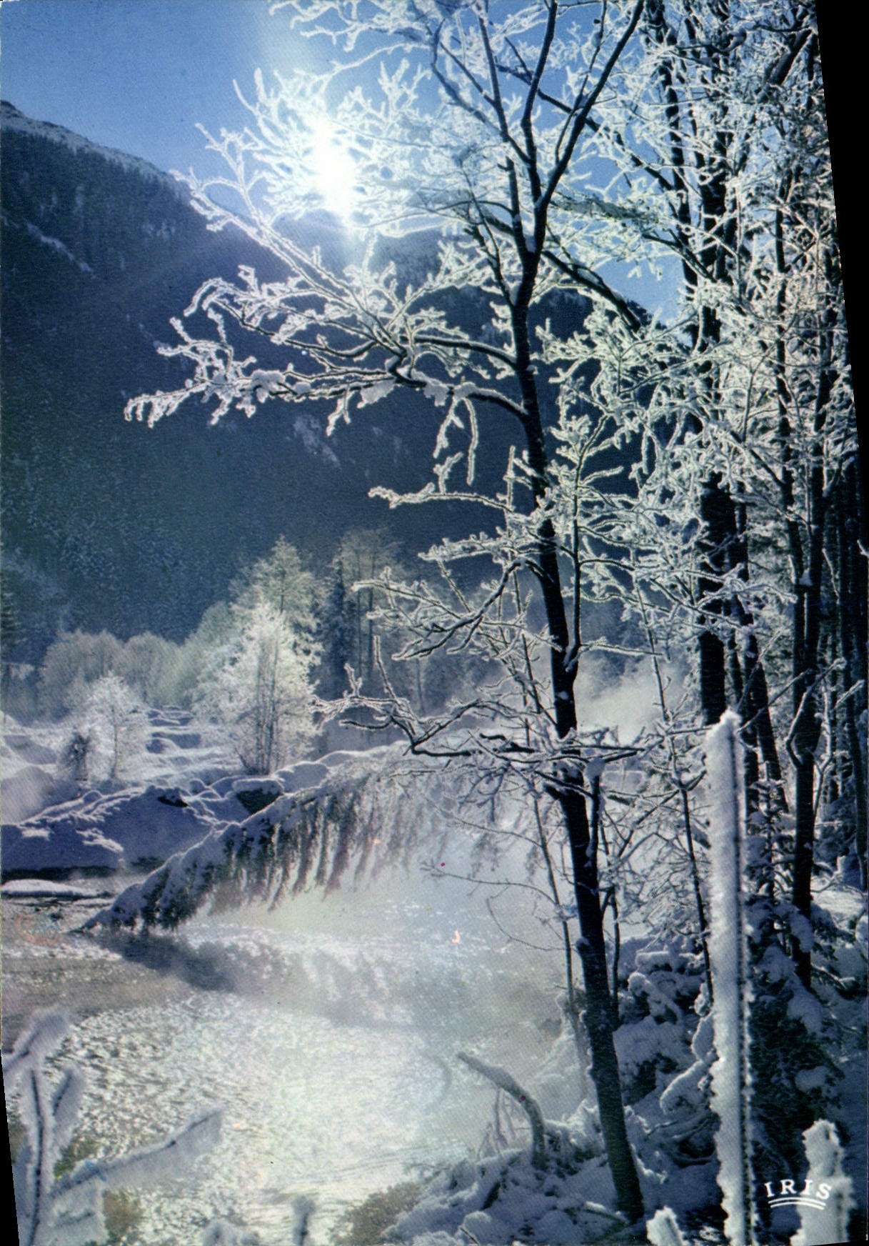 CPM Paysage Hivernal Givres Et Brouillards