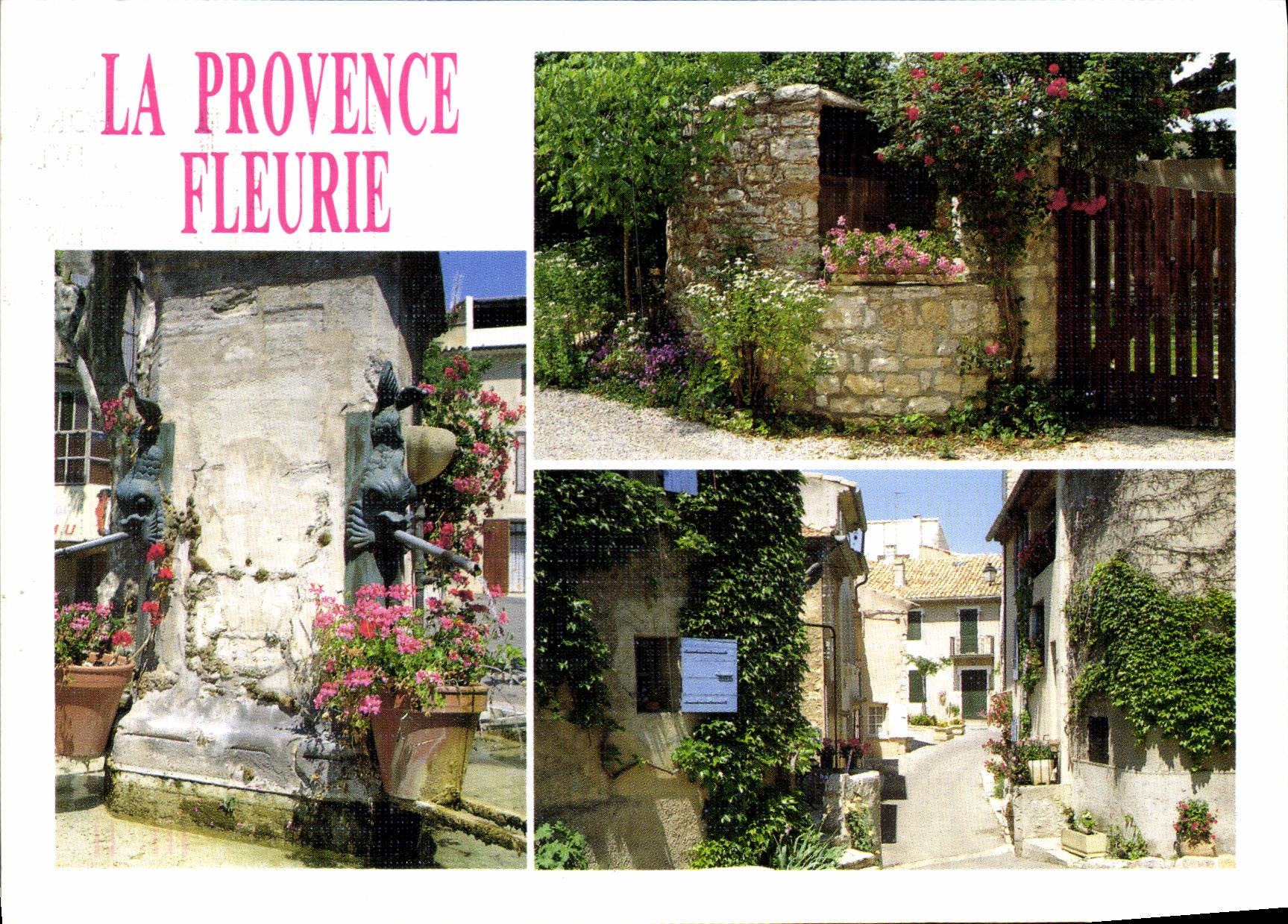 CPM La Provence Fleurie Fontaine de village Vieux puit provencal et ruelles fleuries