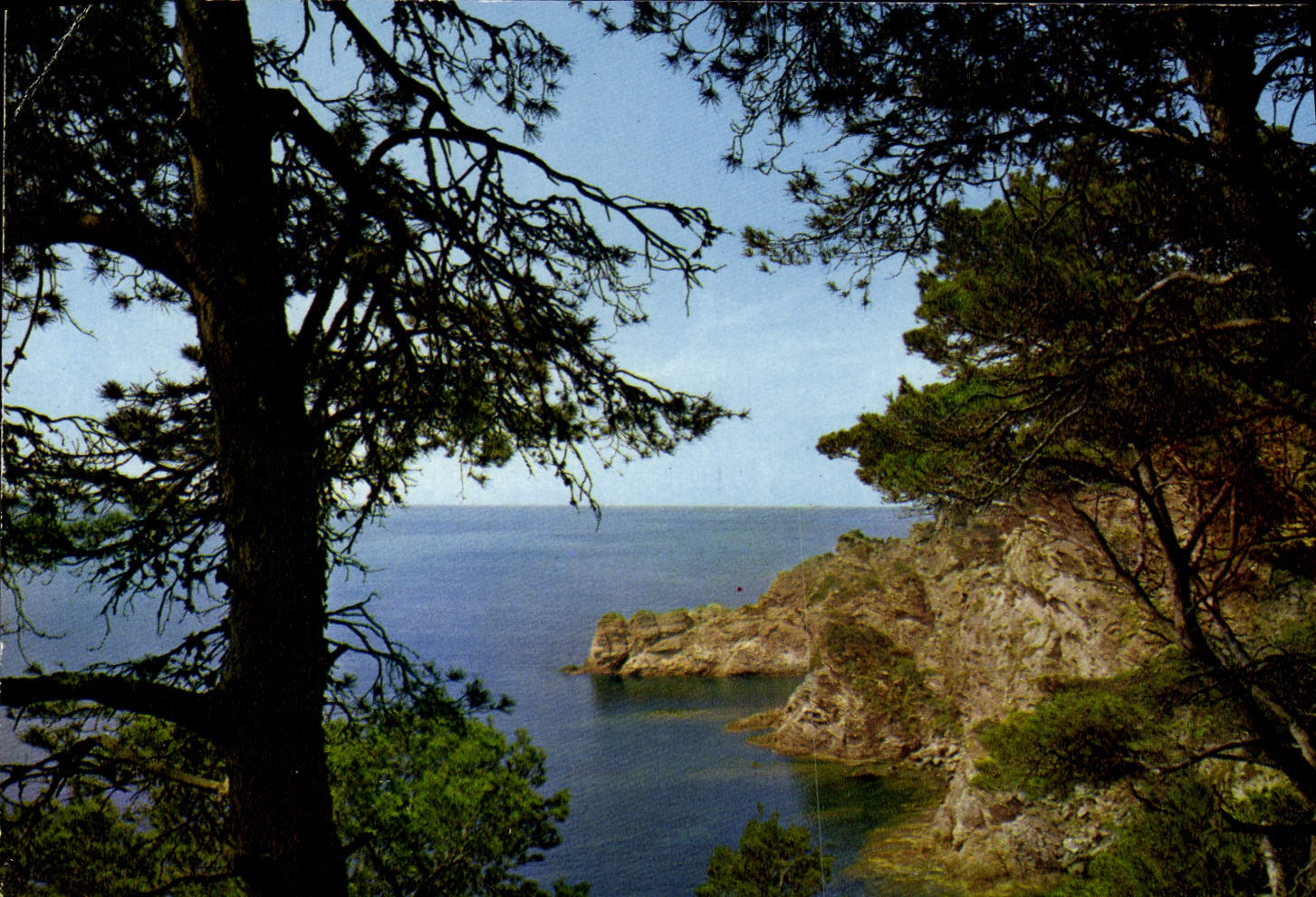 CPM Mediterranee Aux Rivages Sans Nuages Calanques Ou La Vague s'Abrite