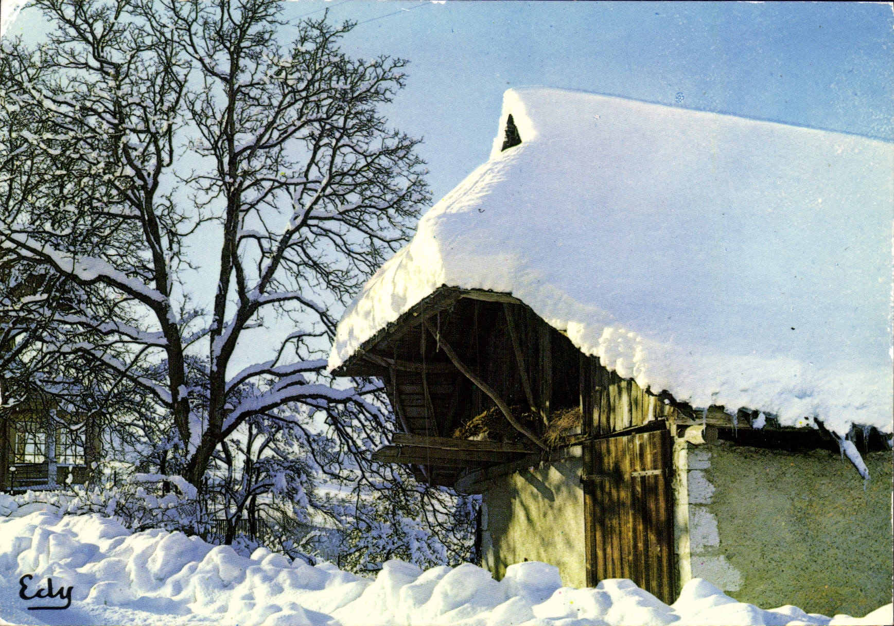 MODERN CARD Images Of On our premises In Winter the barn hidden under the sea