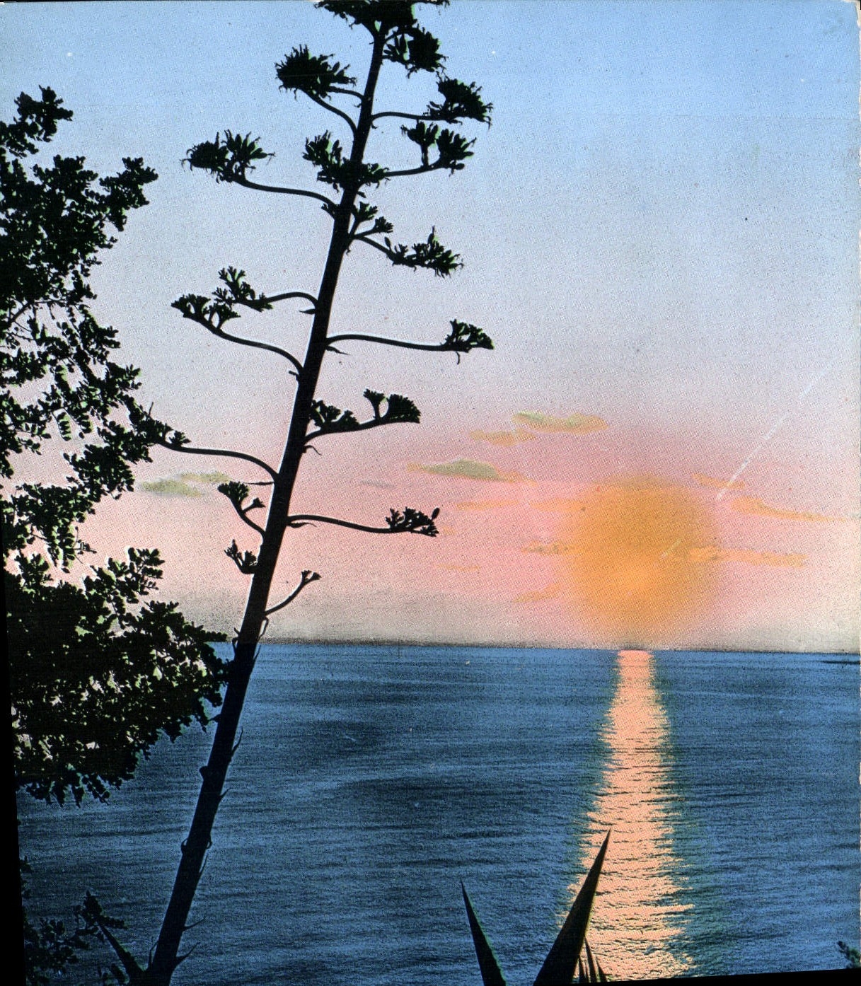 MODERN CARD Setting Sun Sweats the Mediterranean