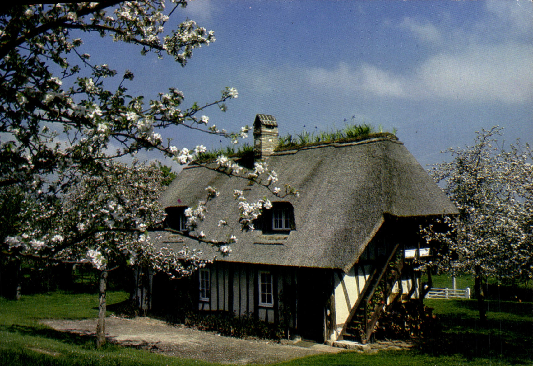 MODERN CARD Normandy Pittoresque Dimensions flowered typical Maison of the Vernier marsh