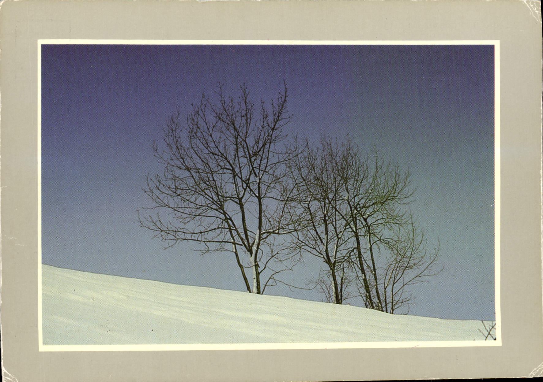 CPM Les joies de la neige Philippe Varrenes