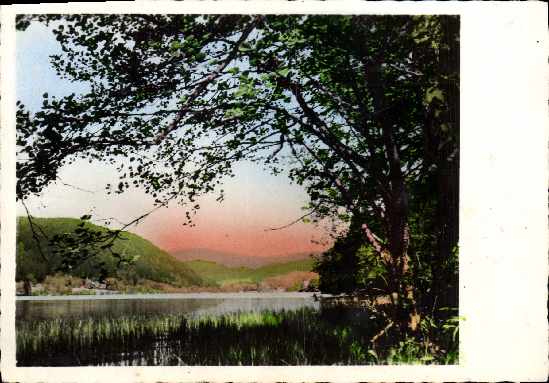 MODERN CARD Landscape