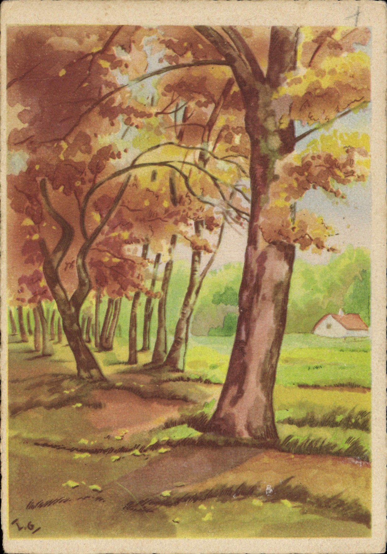 MODERN CARD Drill Trees