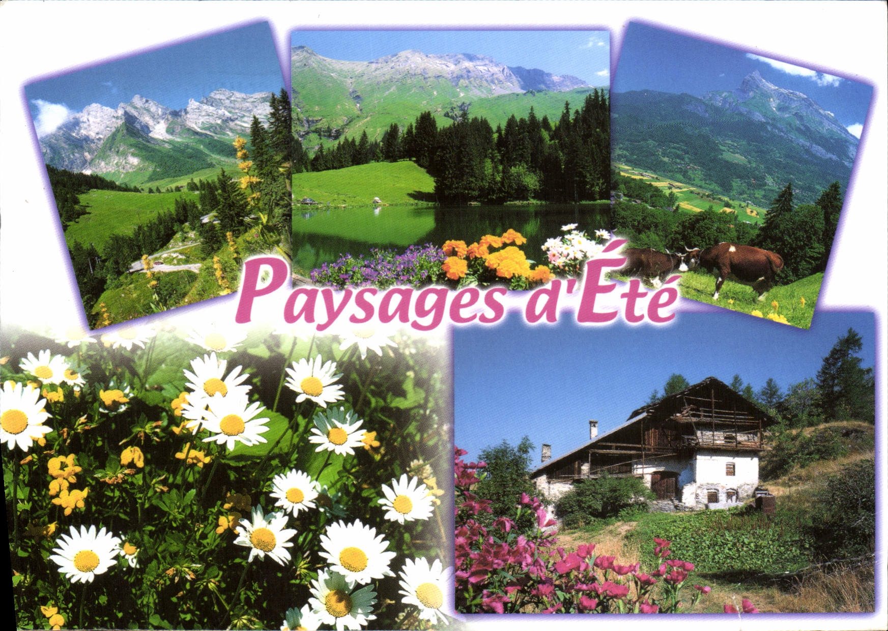 CPM Paysages d'Ete