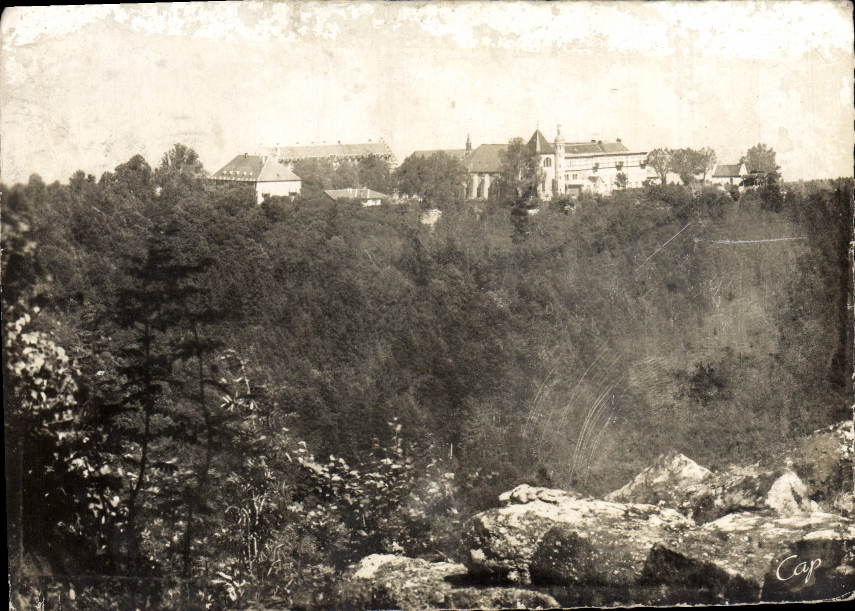 MODERN CARD Mount co. Odile