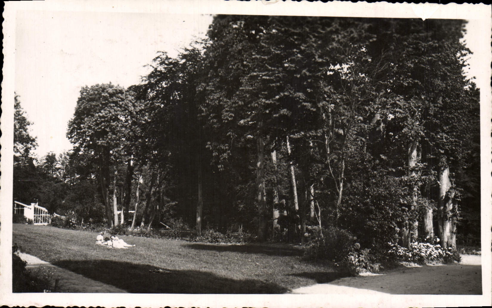 CARTE PHOTO Parc