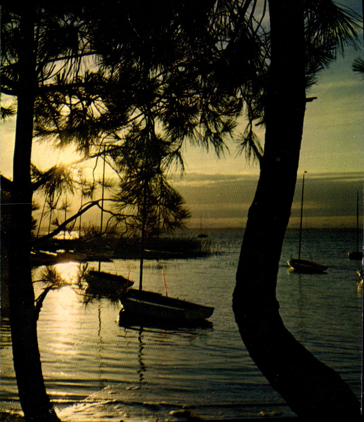 CPM Barque 