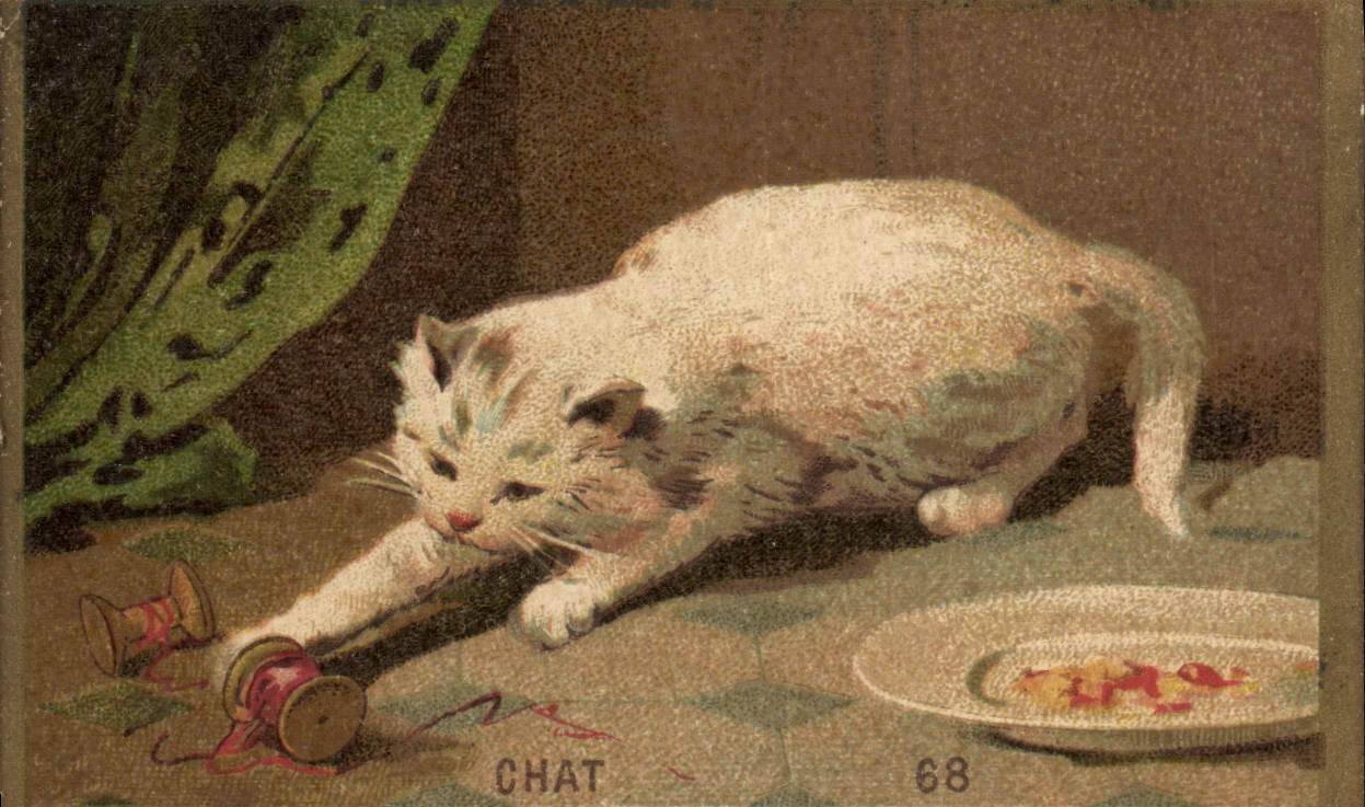 Chromo Chat