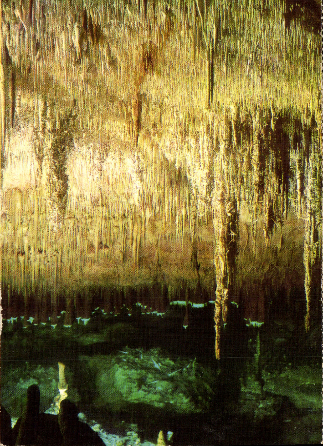 CPM Cuevas del Drach Porto Cristo Mallorca Formaciones rebeldes