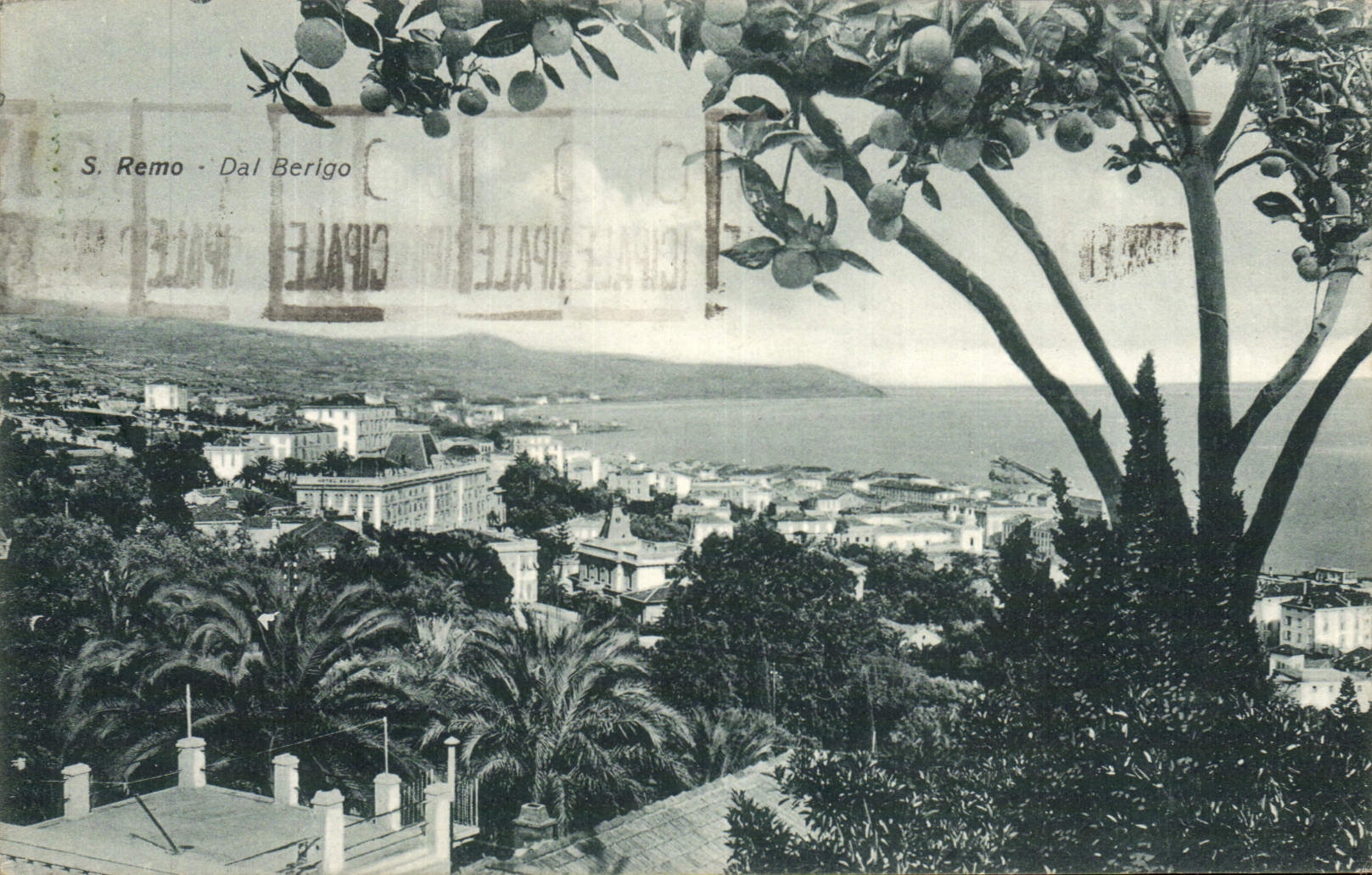 POSTAL San Remo Dal Berigo de la VENDIMIA