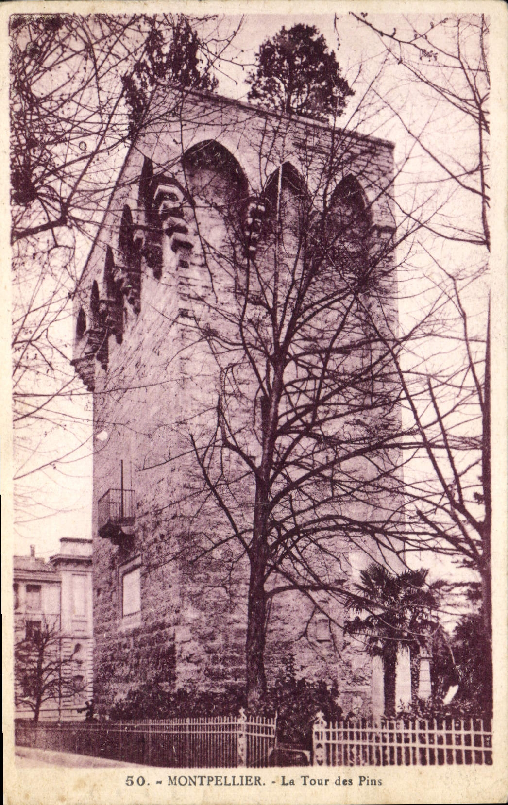 VINTAGE POSTCARD Montpellier the Tower of the Pines