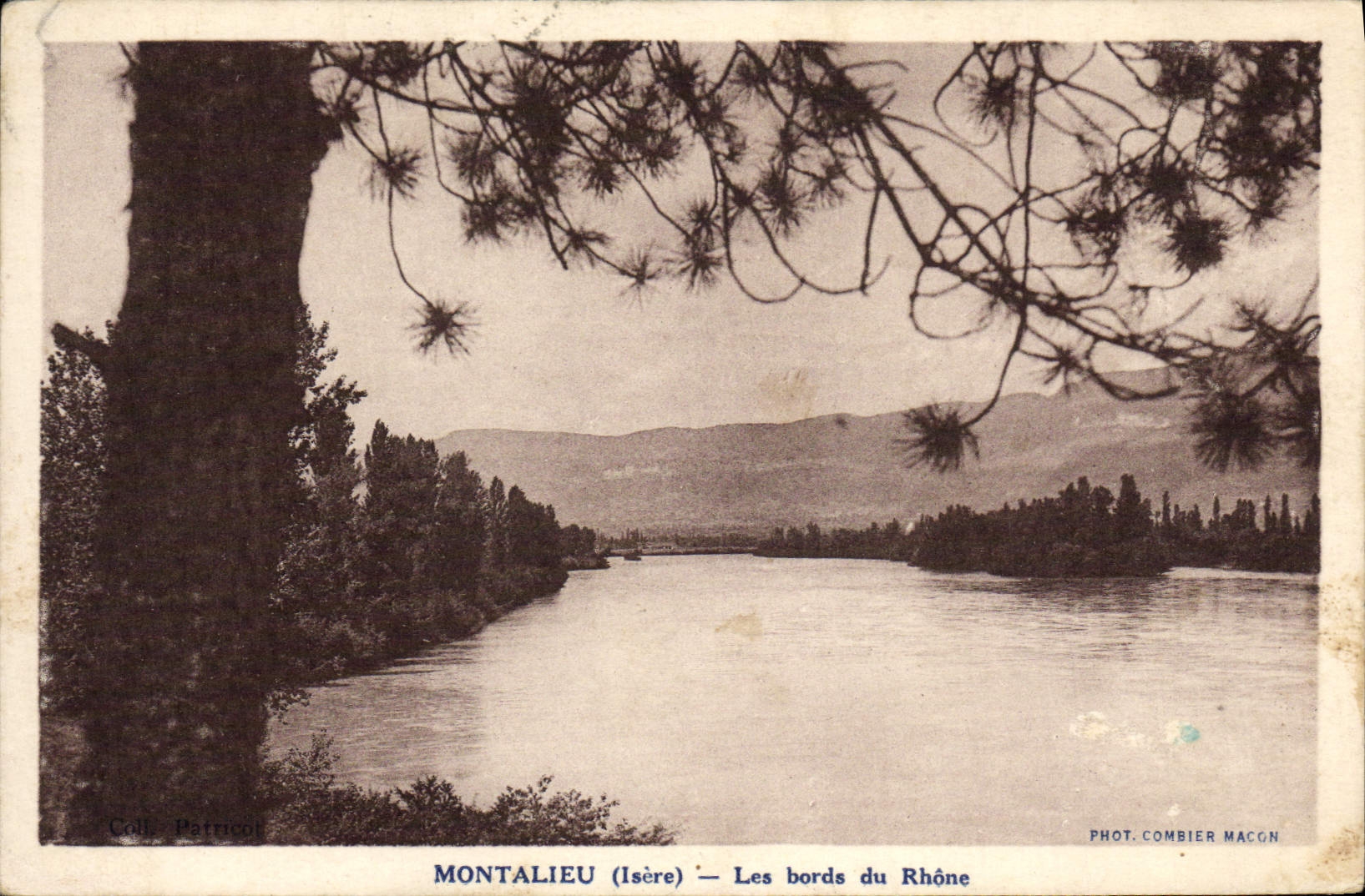 CPA Montalieu Les bords du Rhone 