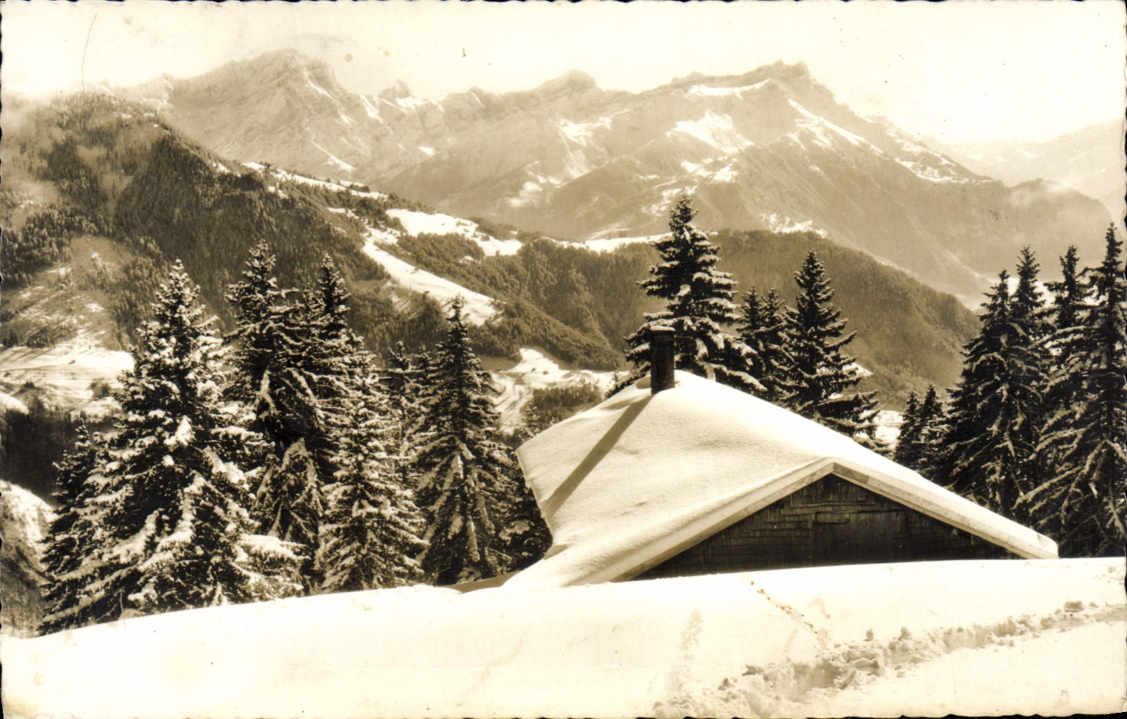 MODERN CARD Teeth of Morcles