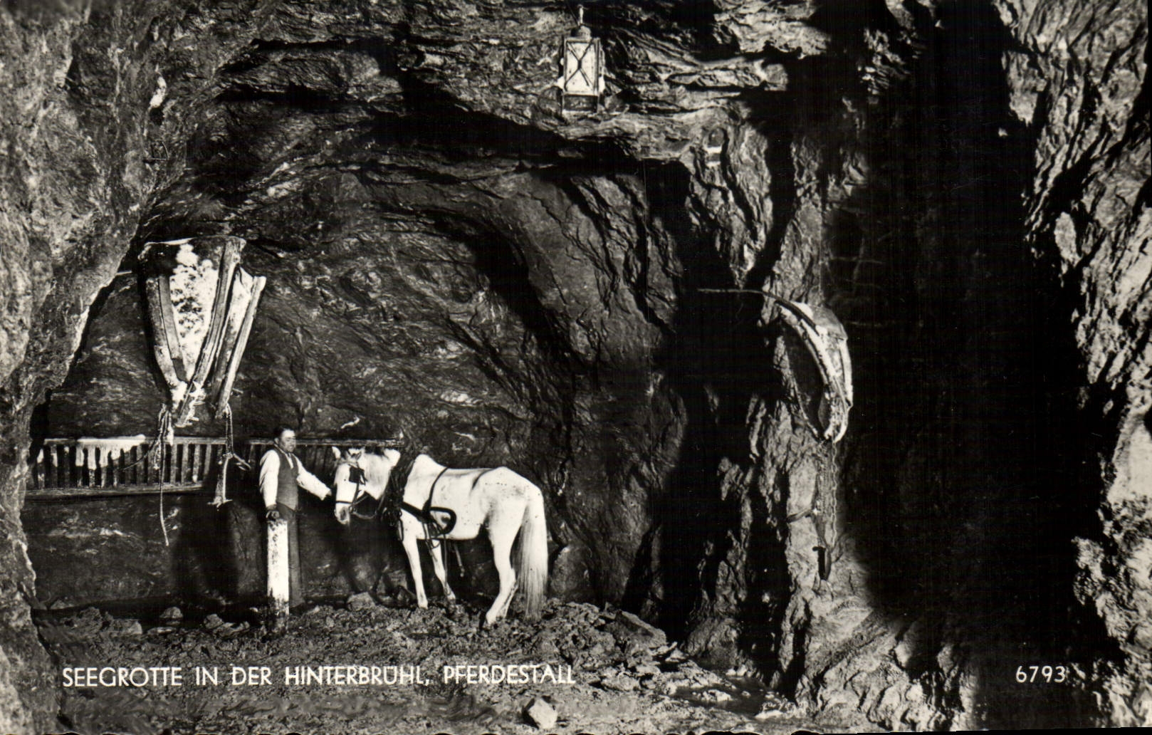 MODERN CARD Seegrotte In Der Hinterbruhl Pferdestall Horse