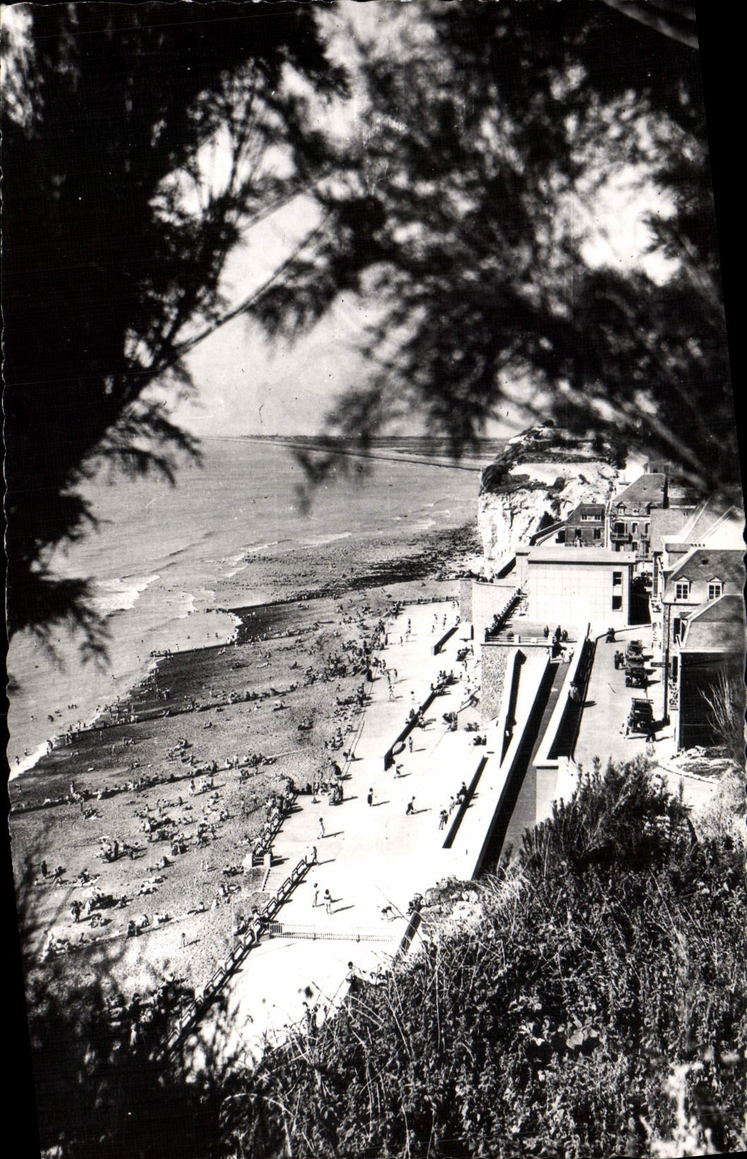 CPM Onival La Plage vue des Falaises