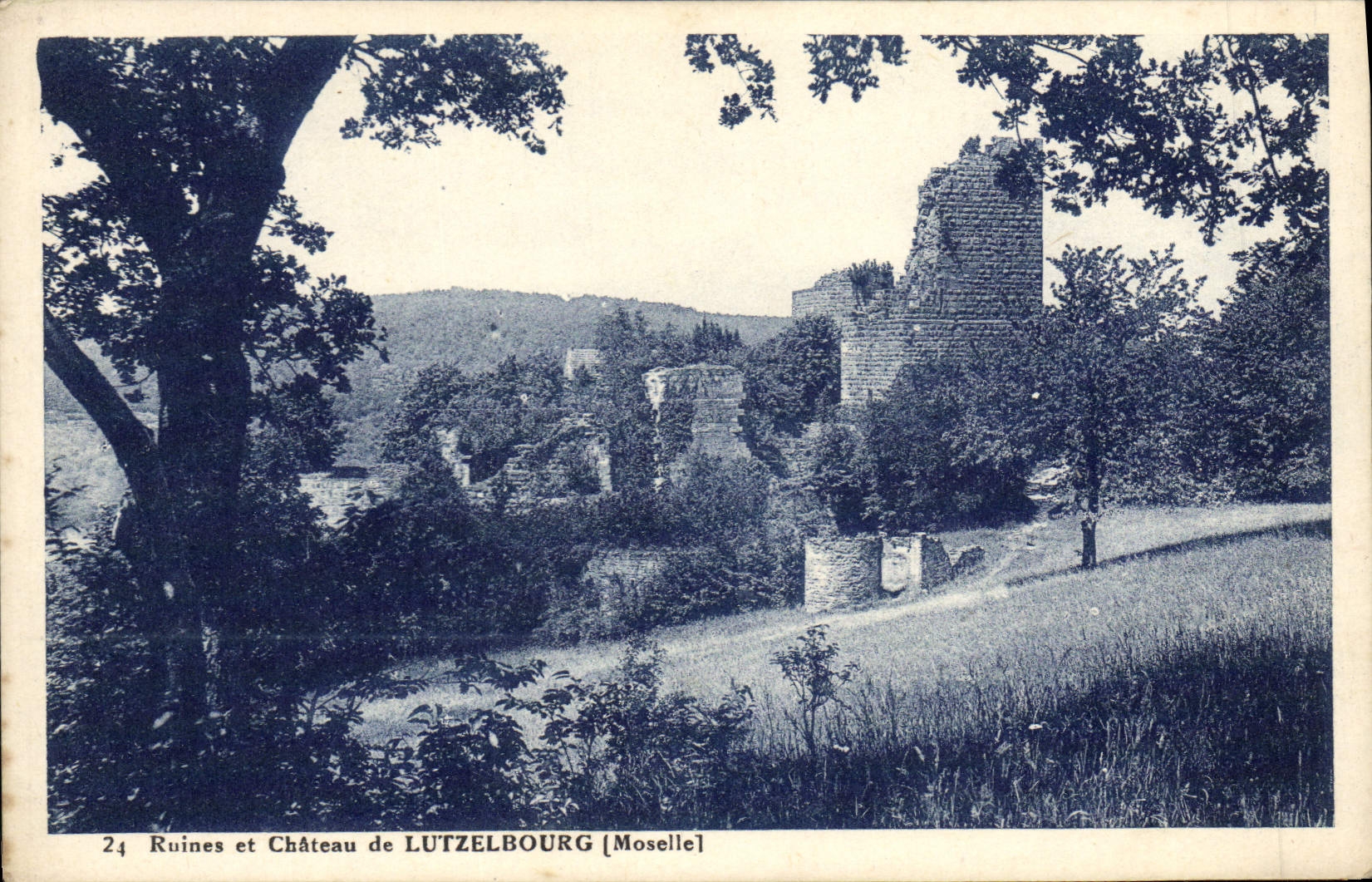 VINTAGE POSTCARD Ruins and Castle of Lutzelbourg