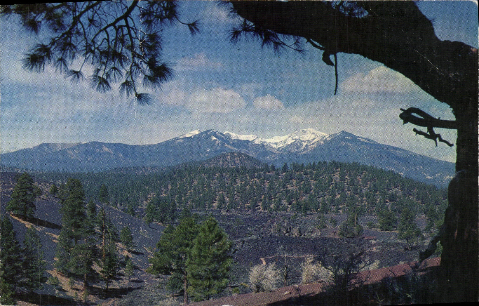CPM San Francisco Parks of seen from Sunset Crater National