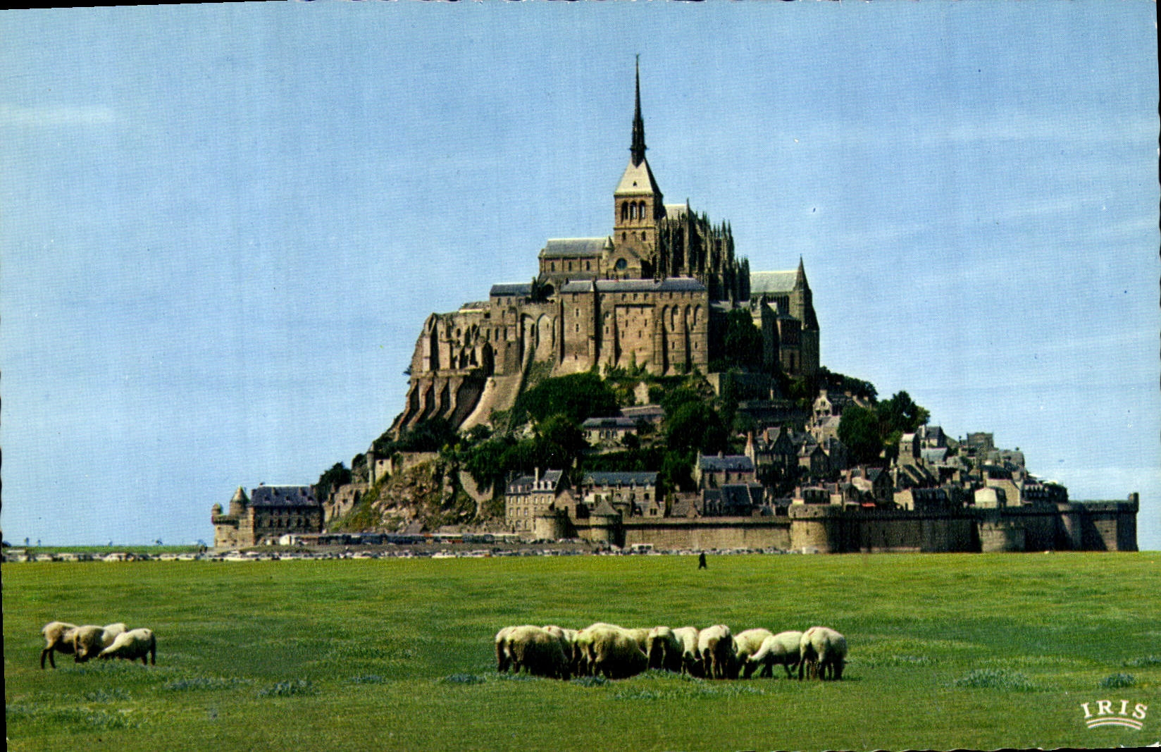 CPM Le Mont Saint Michel Les Pres Sales Moutons