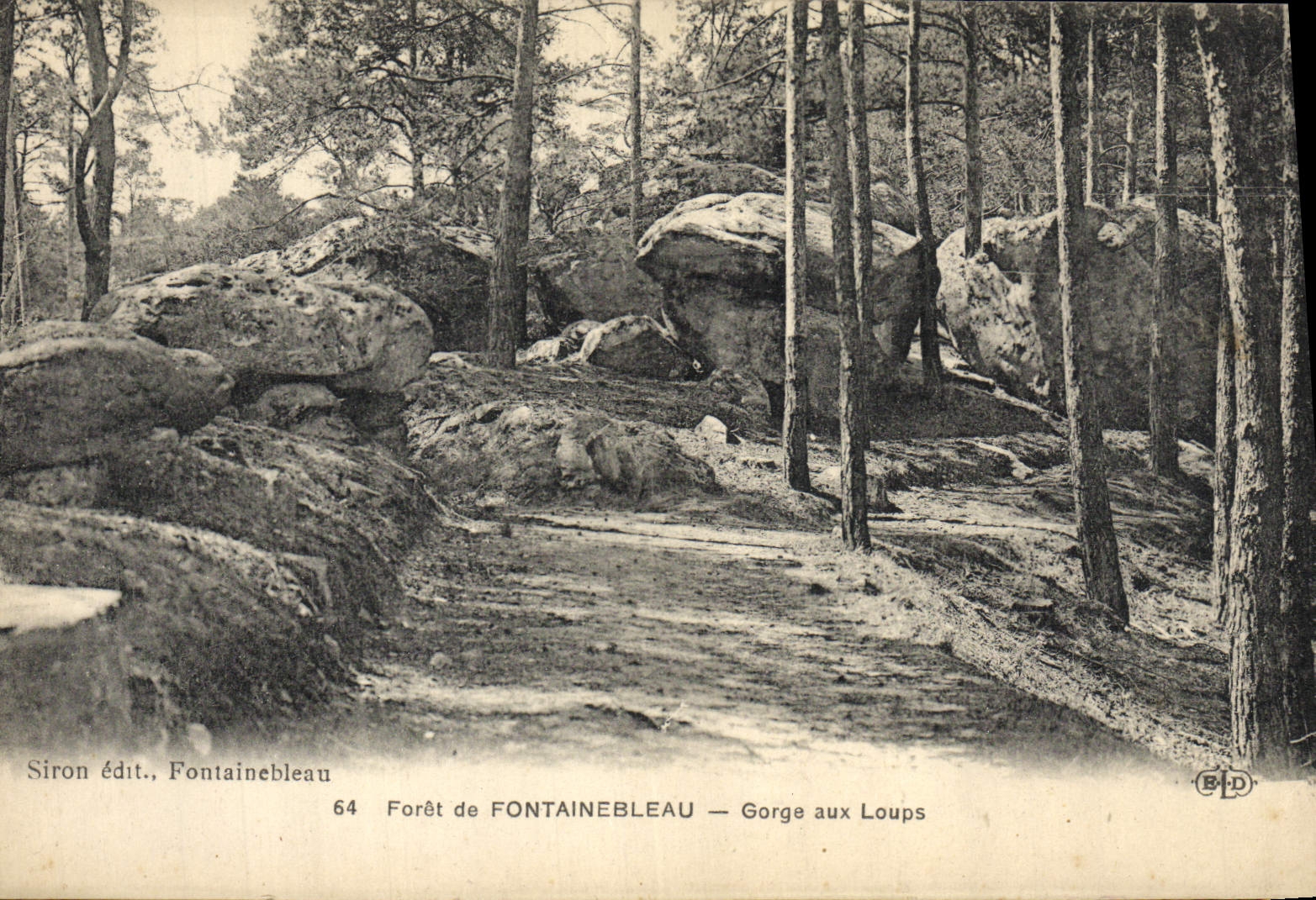 POSTAL Foret de la VENDIMIA de las gargantas de Fontainebleau con los lobos