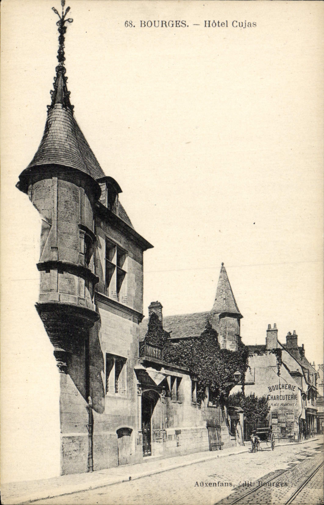 Cerdo-carnicería de la carnicería de Cujas del hotel de Bourges de la POSTAL de la VENDIMIA