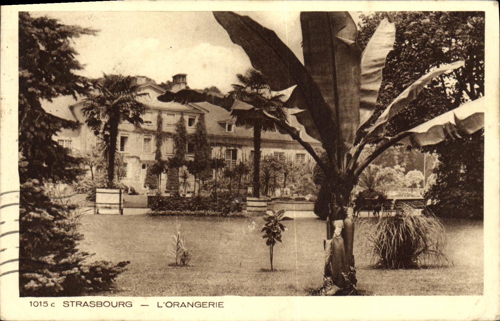 VINTAGE POSTCARD Strasbourg the Orangery