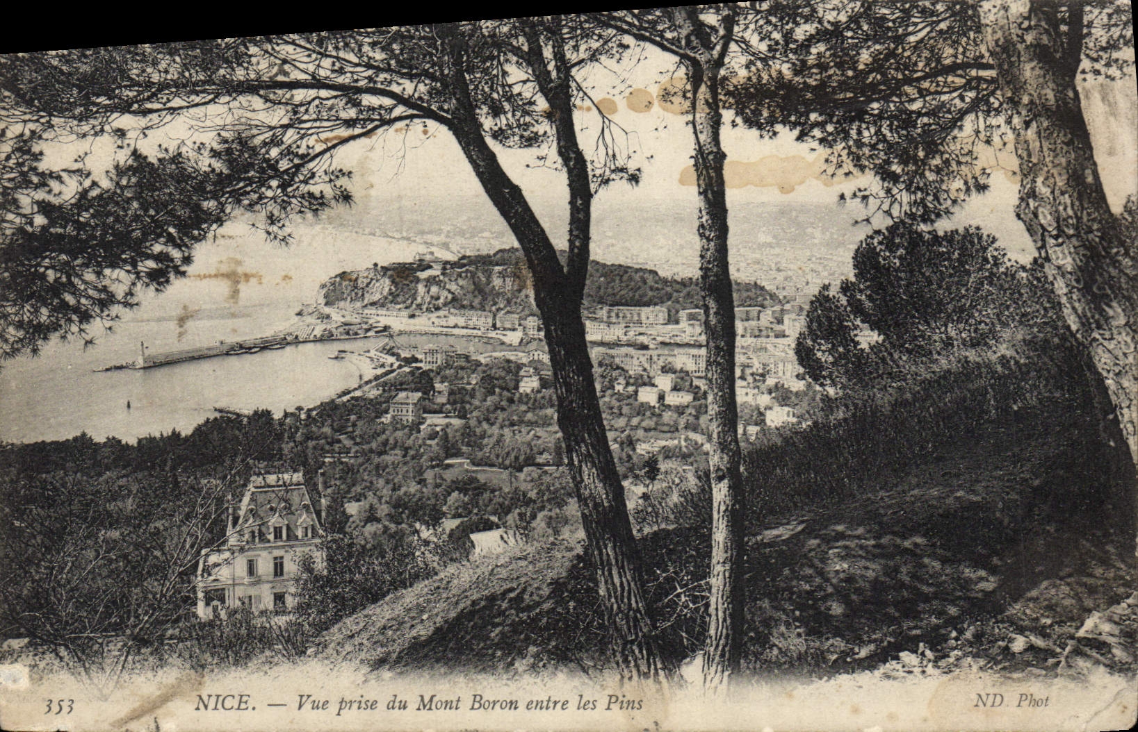 CPA Nice Vue Prise du Mont Boron entre les Pins