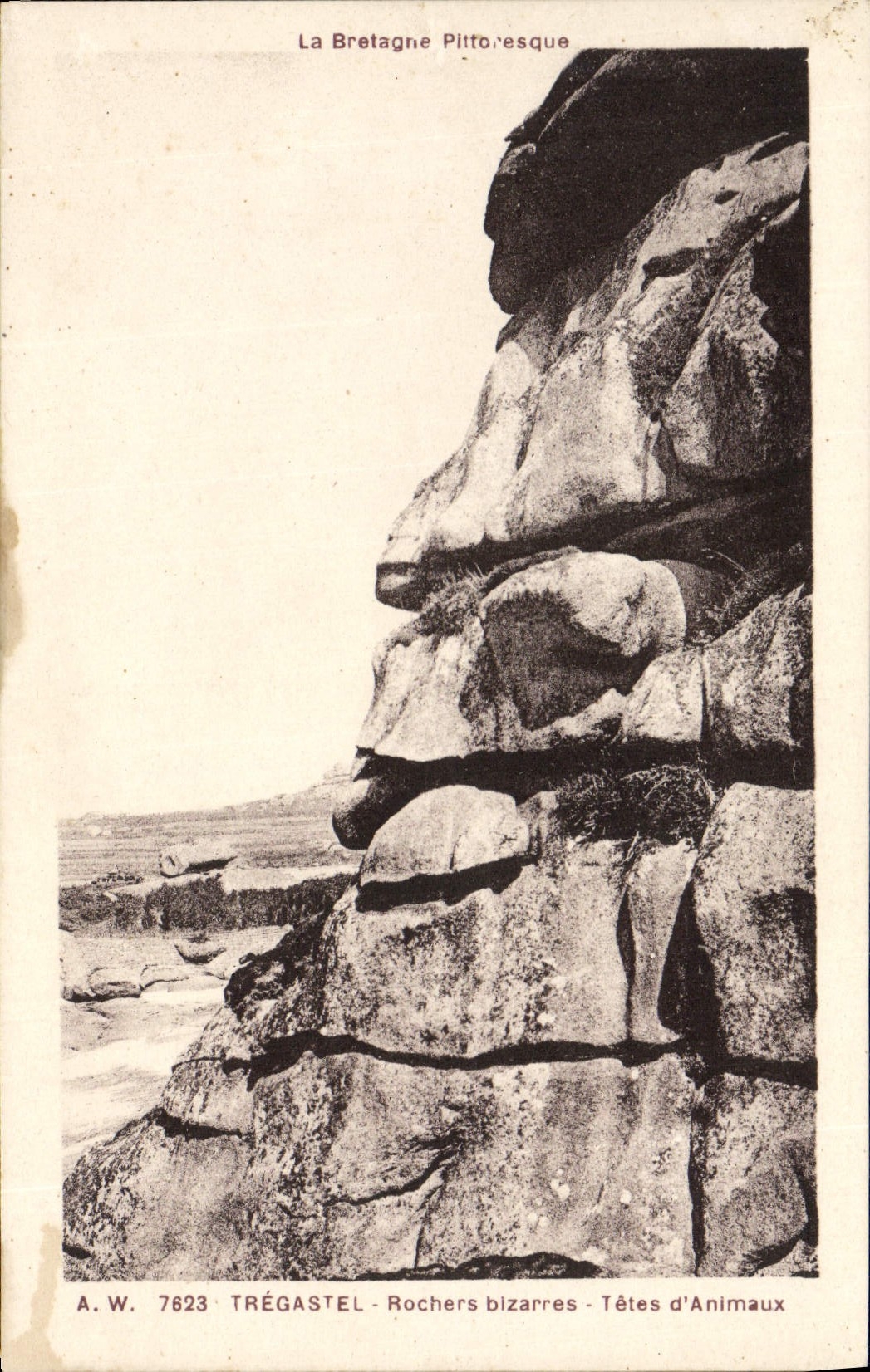 VINTAGE POSTCARD Tregastel odd Rocks Heads of animals