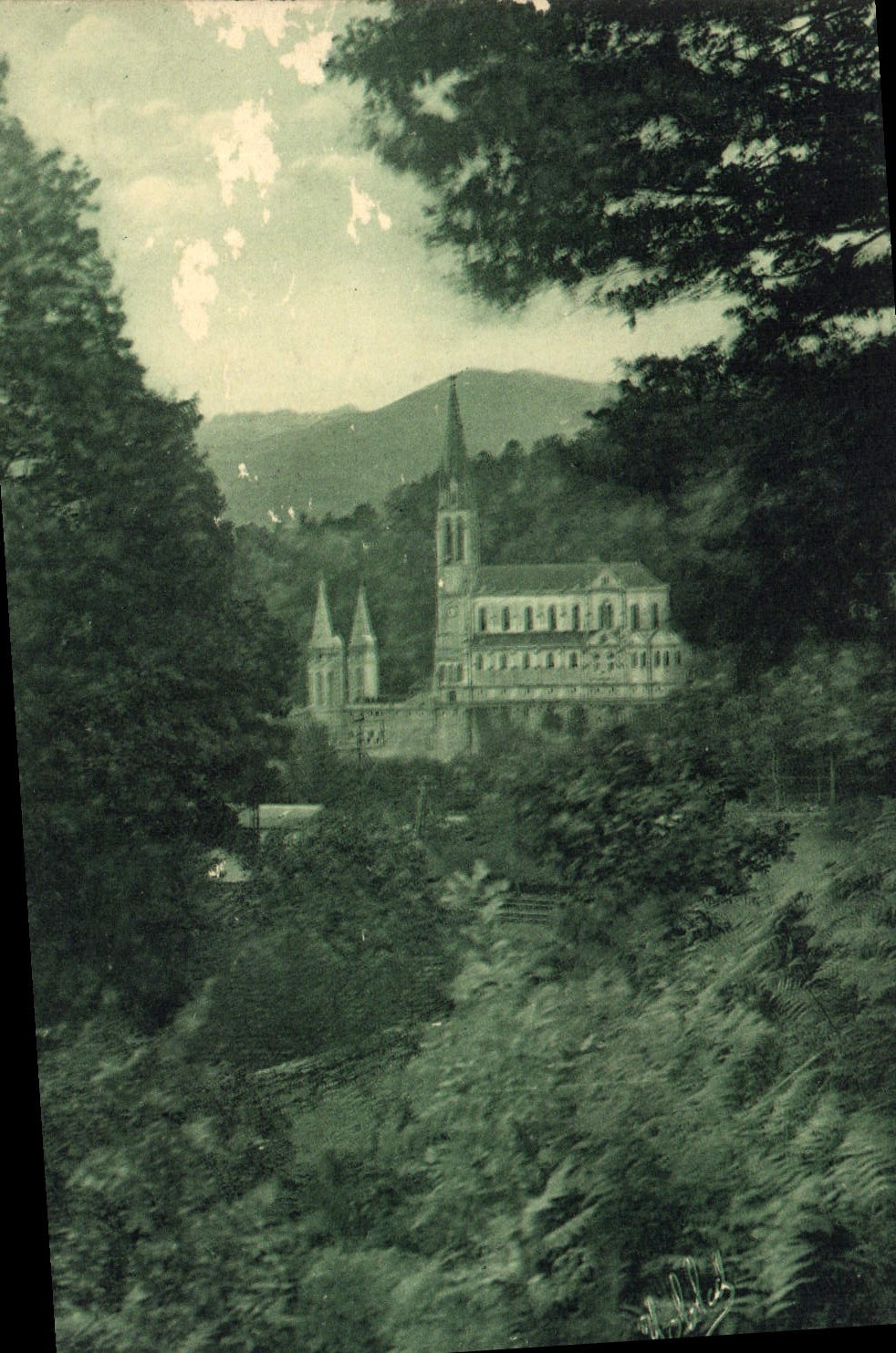 VINTAGE POSTCARD Heavy the Basilica