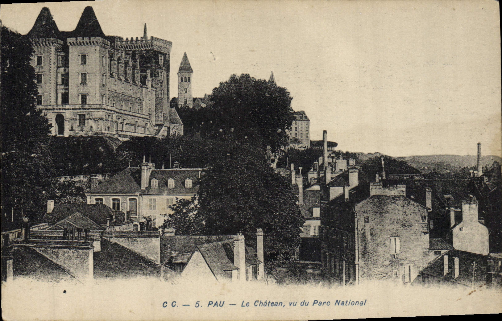 VINTAGE POSTCARD Pau the Castle seen of the National park