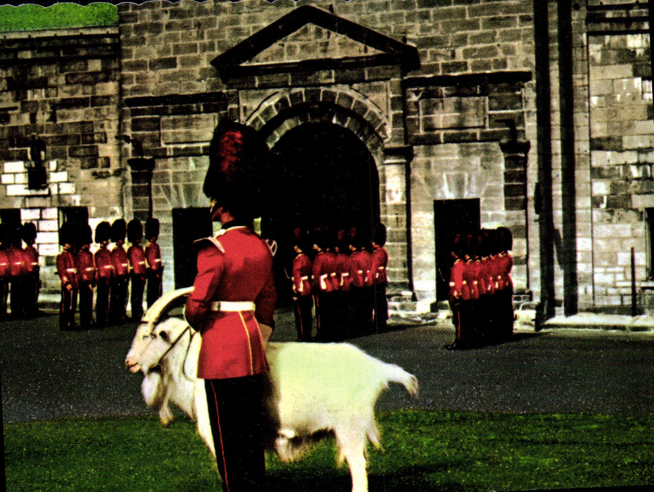 MODERN CARD Royal 22e Changing Regiment off the Guard At the Citadel Quebec Canada Goat Goat