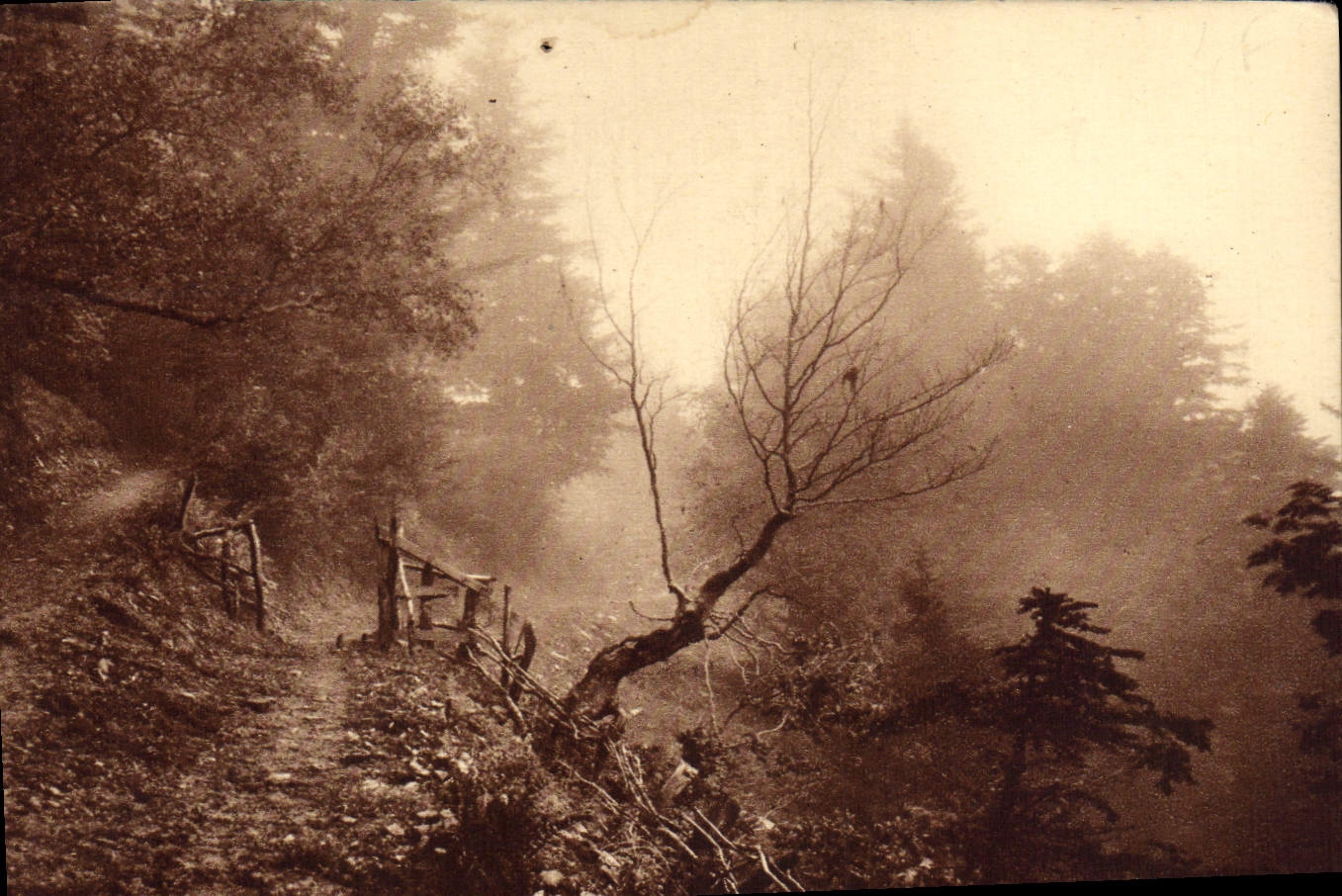 VINTAGE POSTCARD All France Luchon Superbahneres and Environs Lane mountain drill of Superbagneres