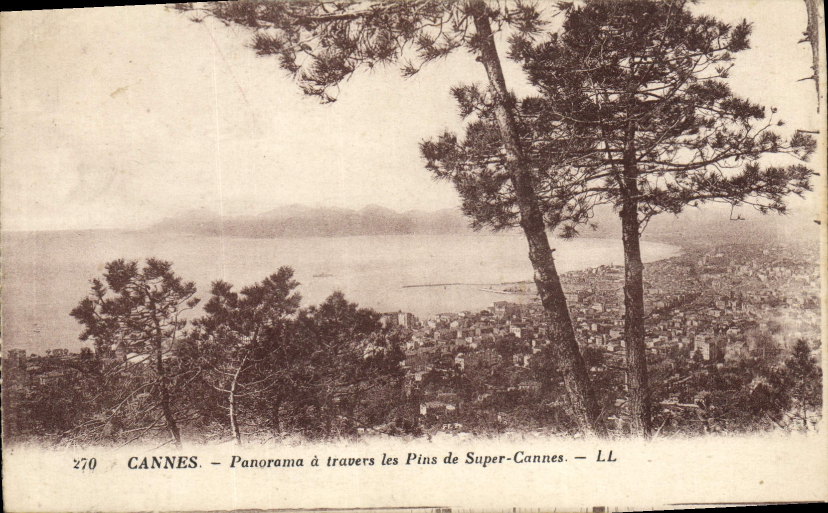 VINTAGE POSTCARD Cannes Panorama through the Pines of Super Cannes