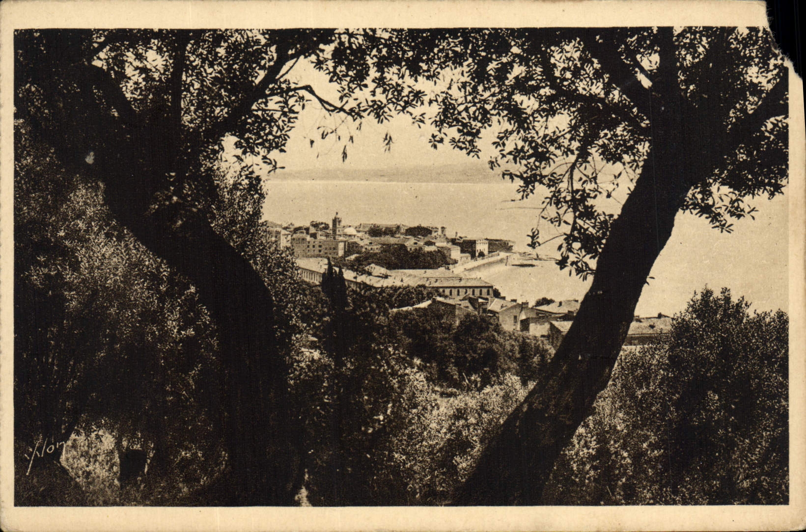 CPA La Corse lle de Be Beaute Ajaccio 