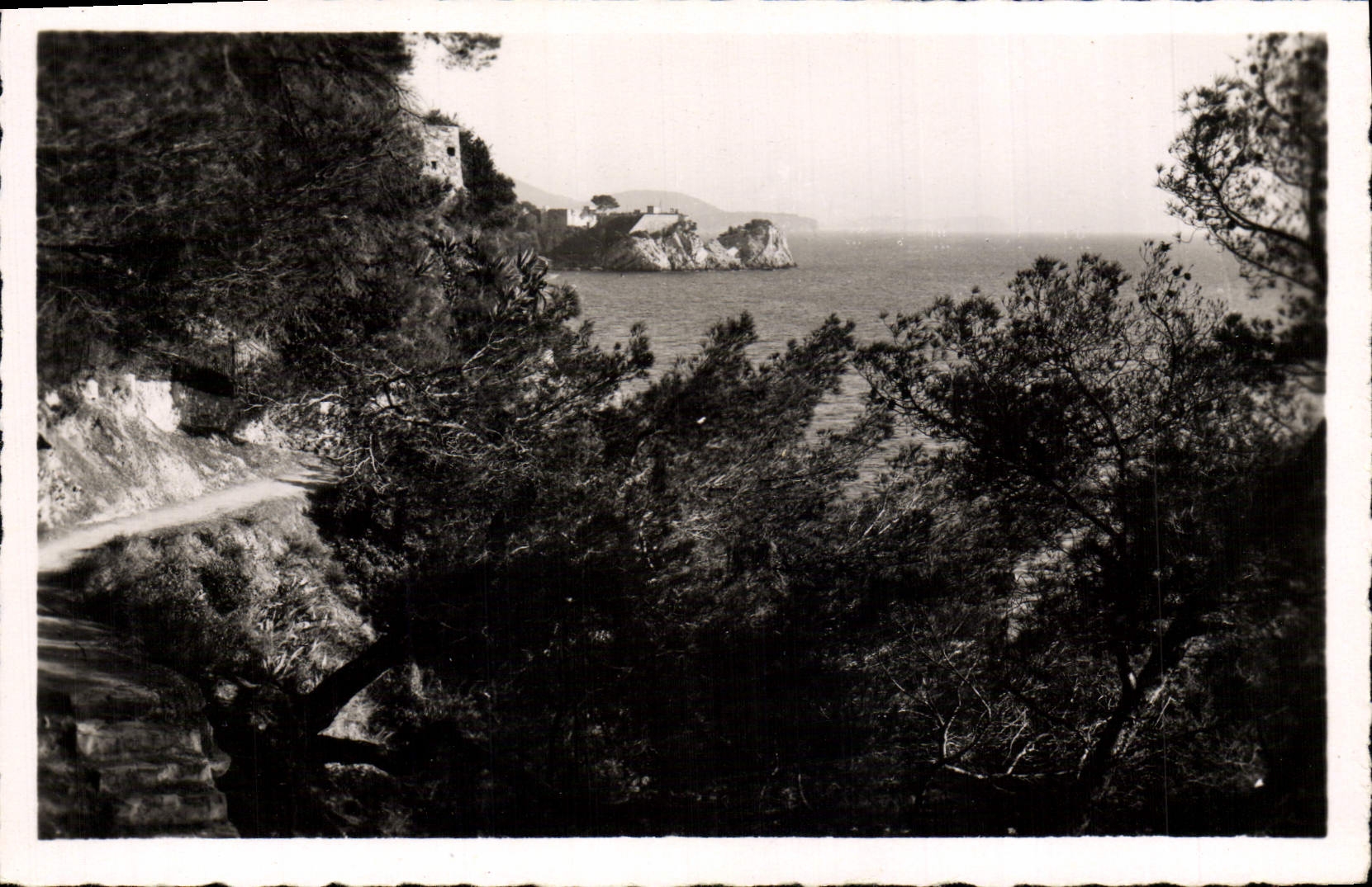 VINTAGE POSTCARD Toulon Cape Brown