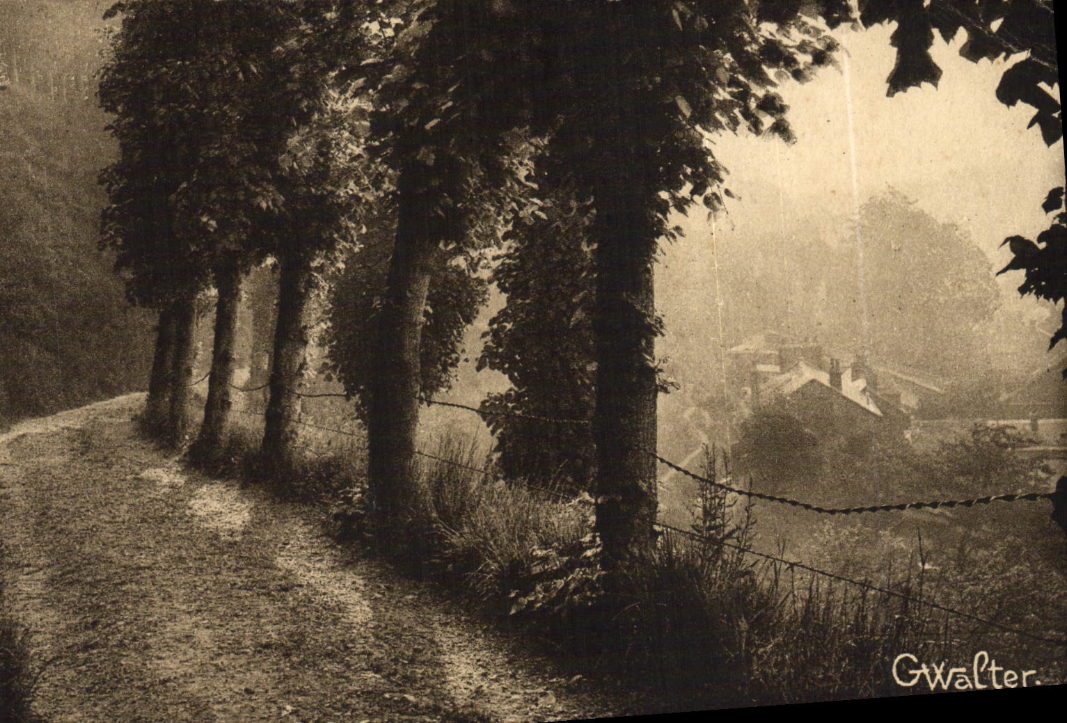 VINTAGE POSTCARD Bernay Walk Of the Mounts
