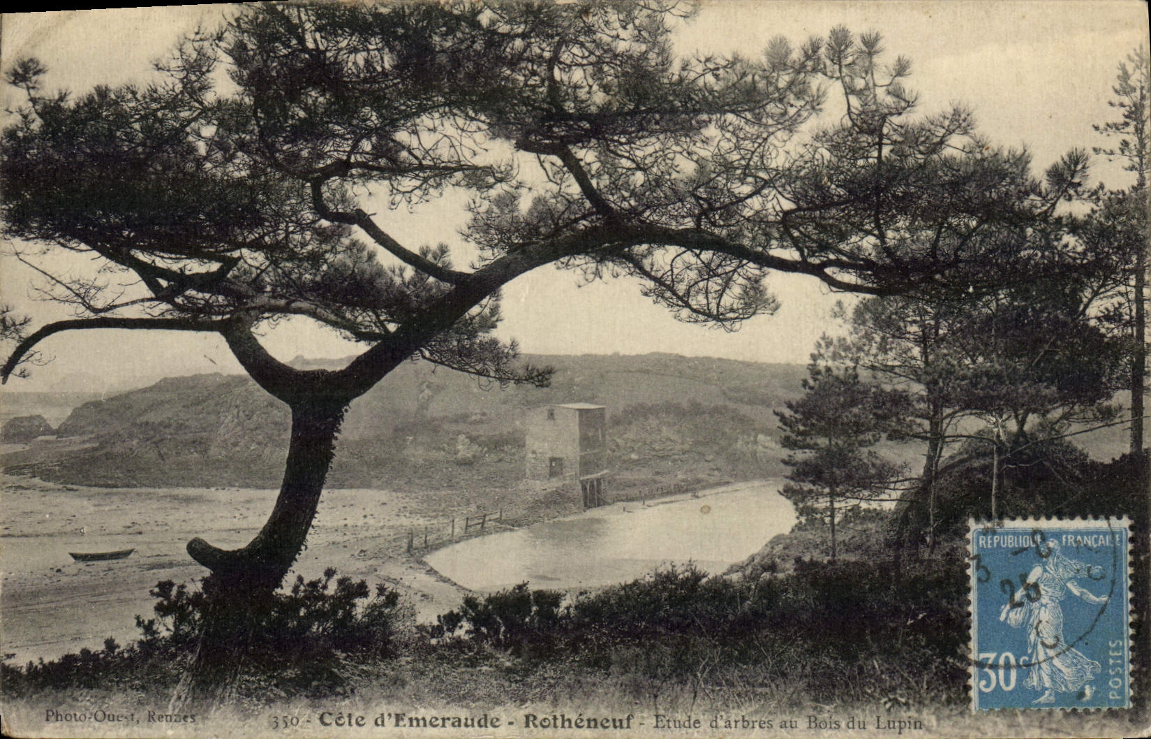 CPA Cote D'Emeraude Rotheneuf Etude d'arbres au bois du lapin