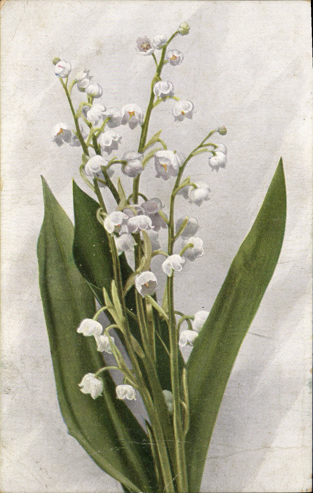 VINTAGE POSTCARD Fantasy Flowers Lily of the valley