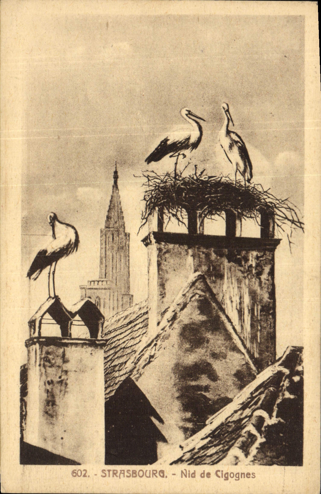 VINTAGE POSTCARD Strasbourg Nest Of Storks