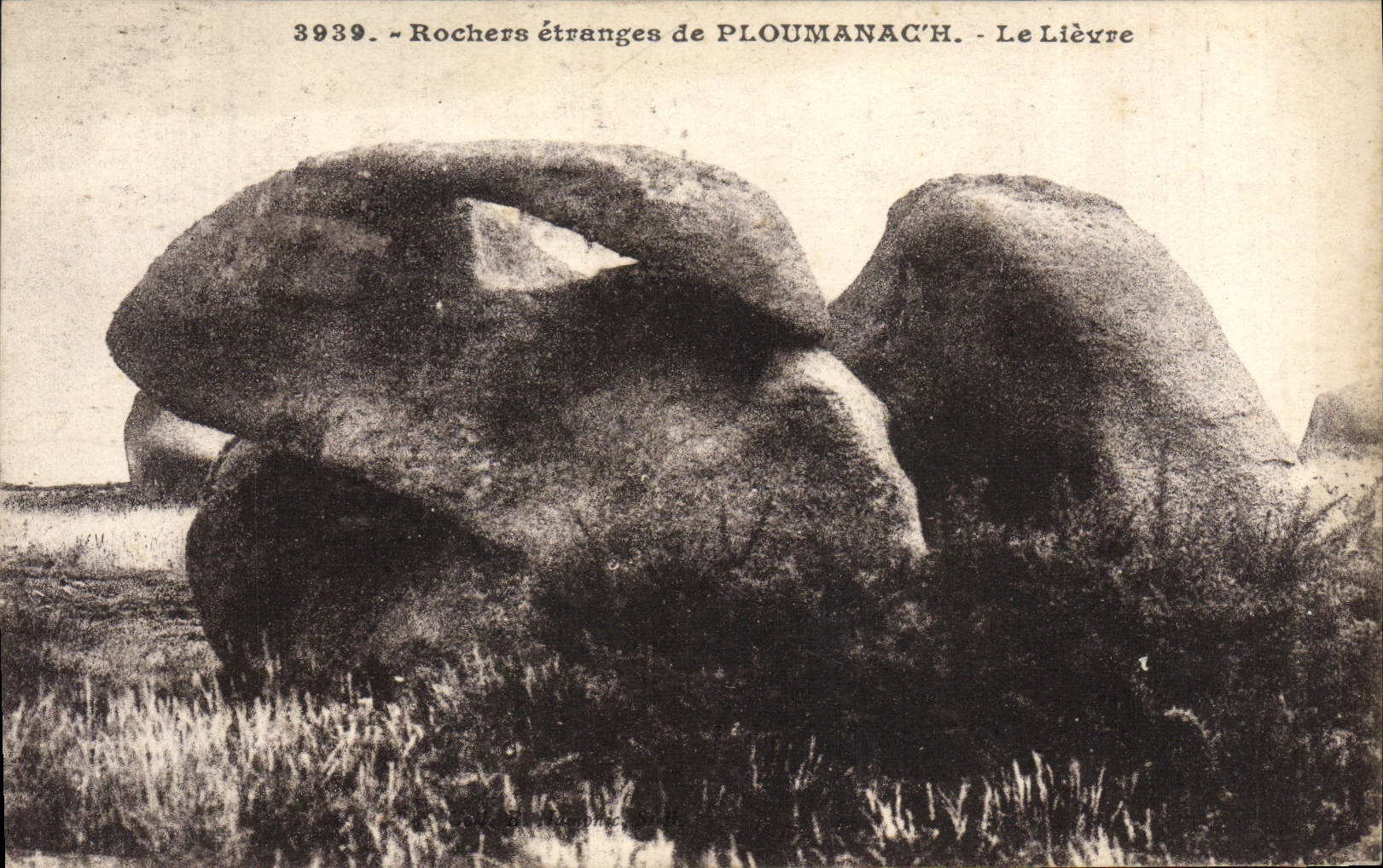 CPA Rochers Etranges De Ploumanach Le Lievre Lapin
