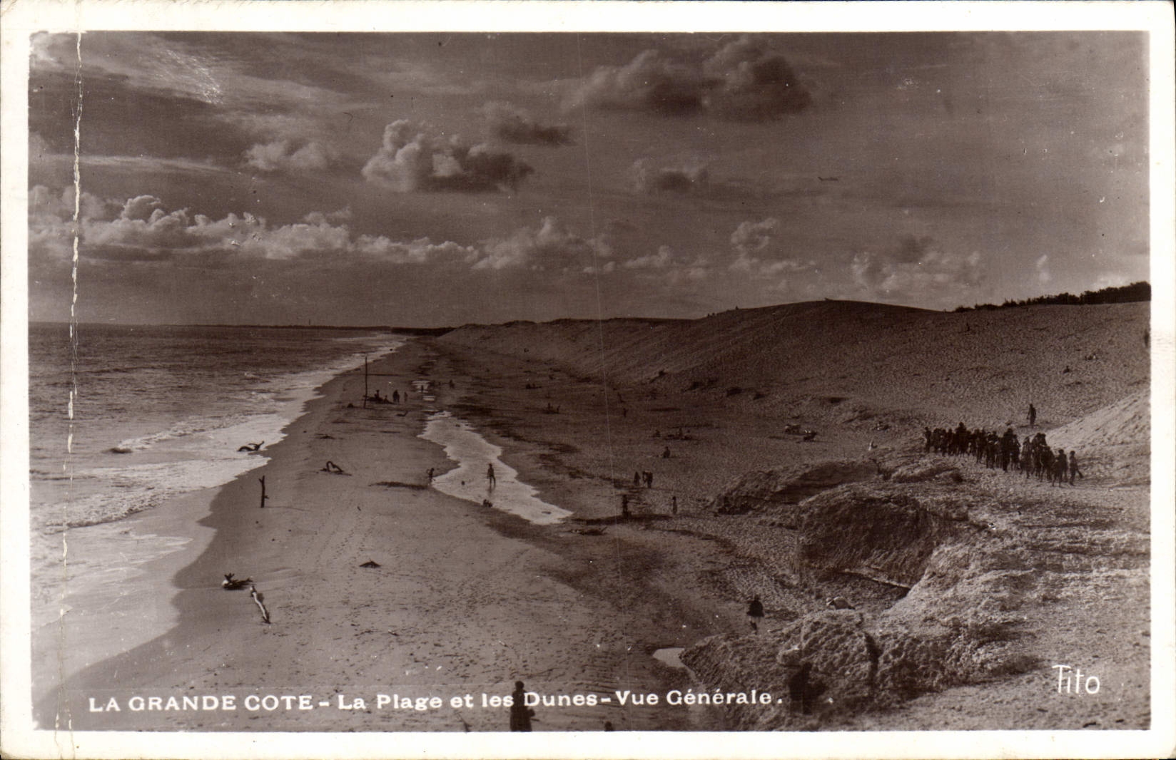 VINTAGE POSTCARD the Great Dimension the Beach and Dunes View