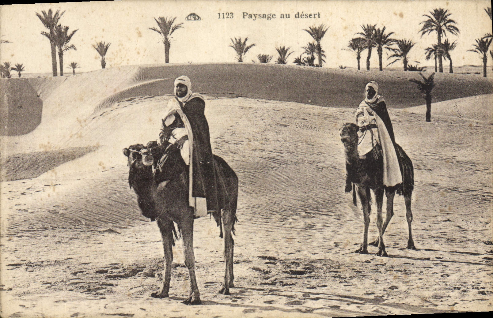 Paisaje de la POSTAL de la VENDIMIA con los camellos del desierto