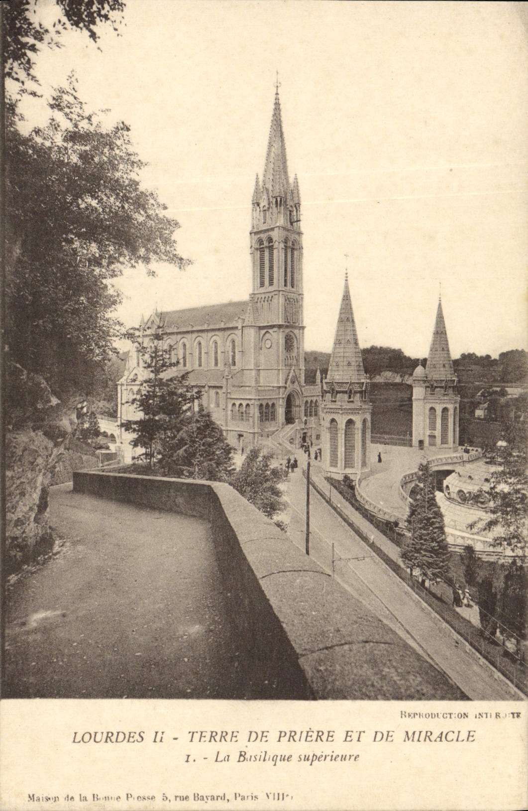 POSTAL de la VENDIMIA pesada la basílica más alta