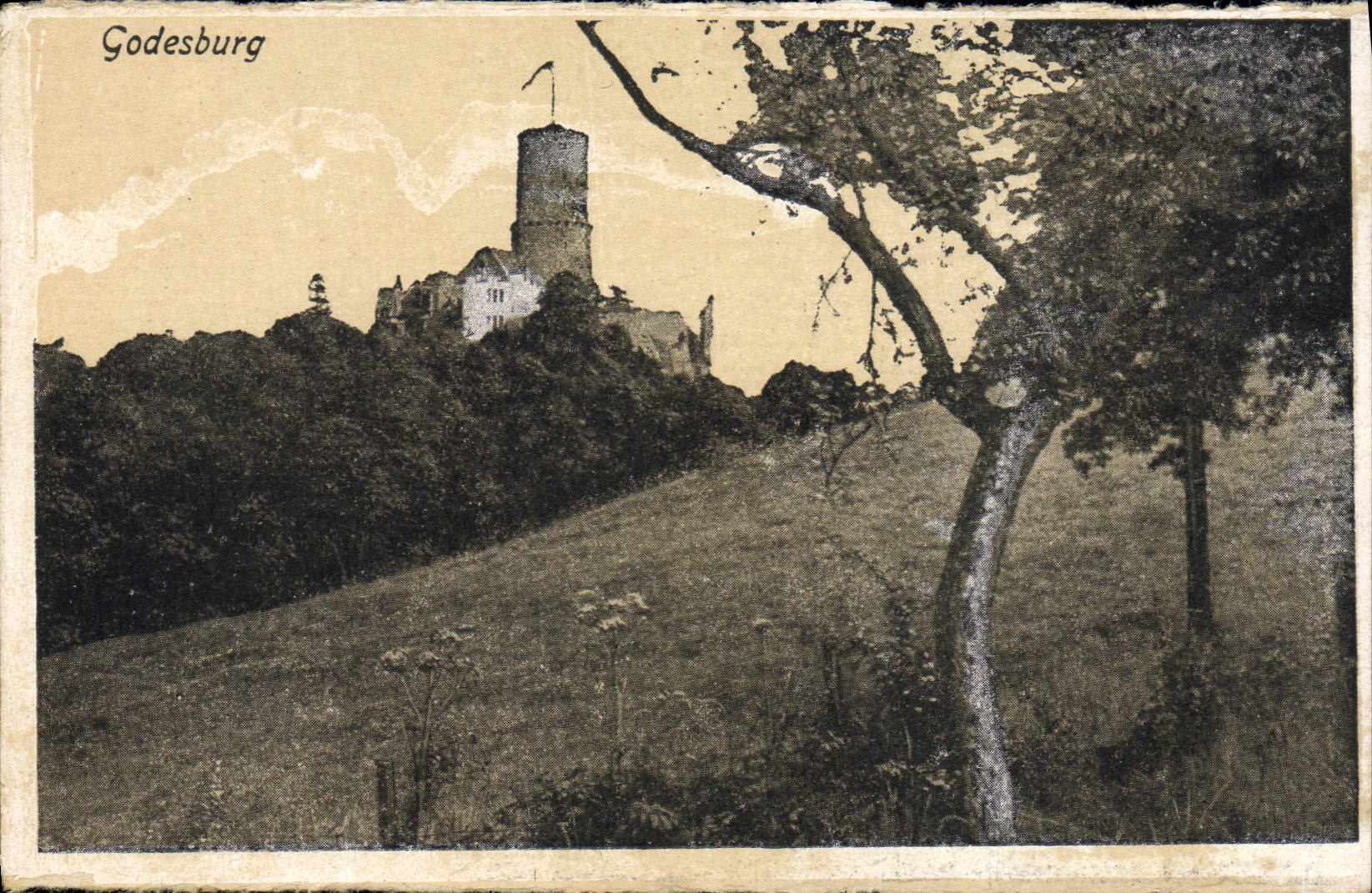 VINTAGE POSTCARD Godesburg